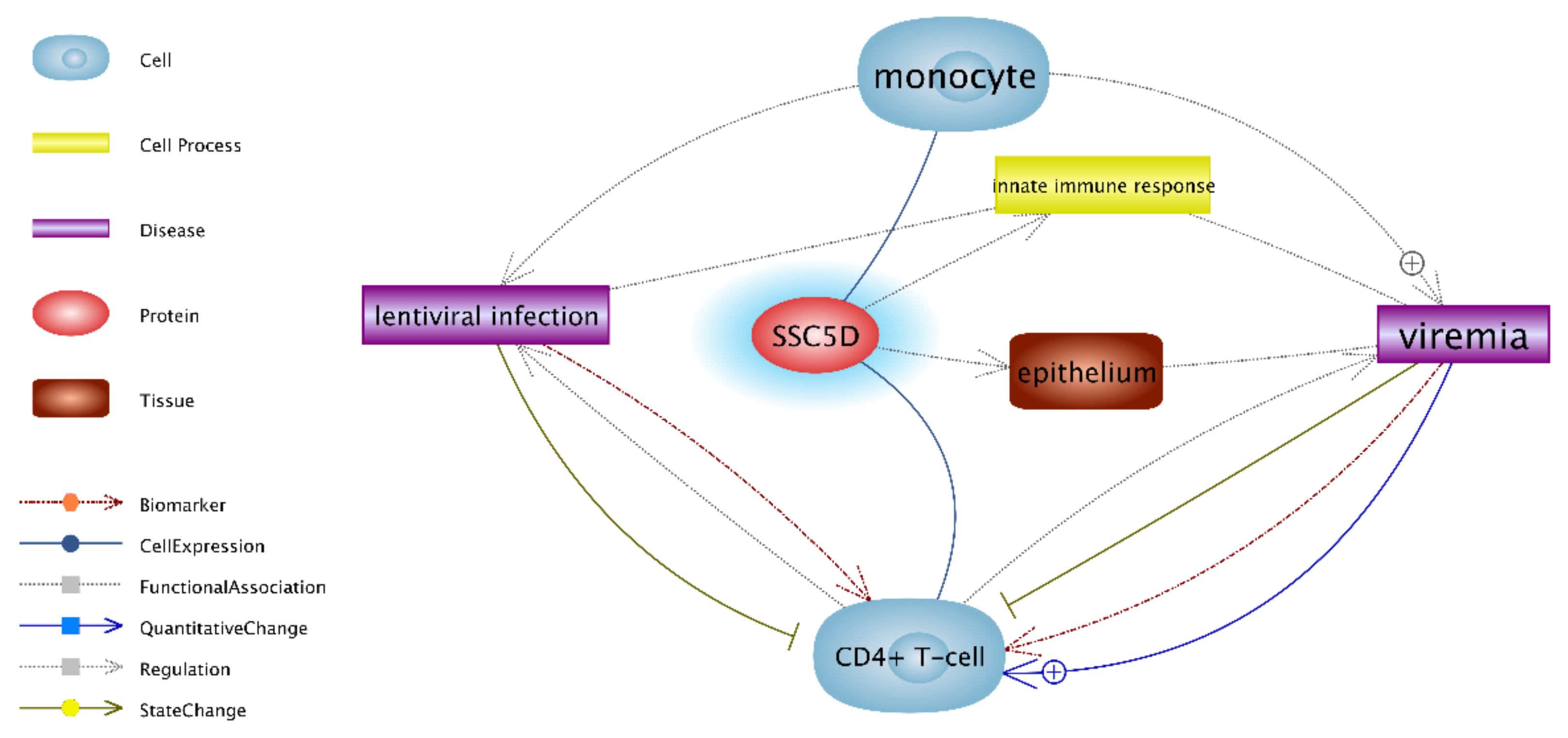 Animals 11 00940 g001 Animals 11 00940 g001
