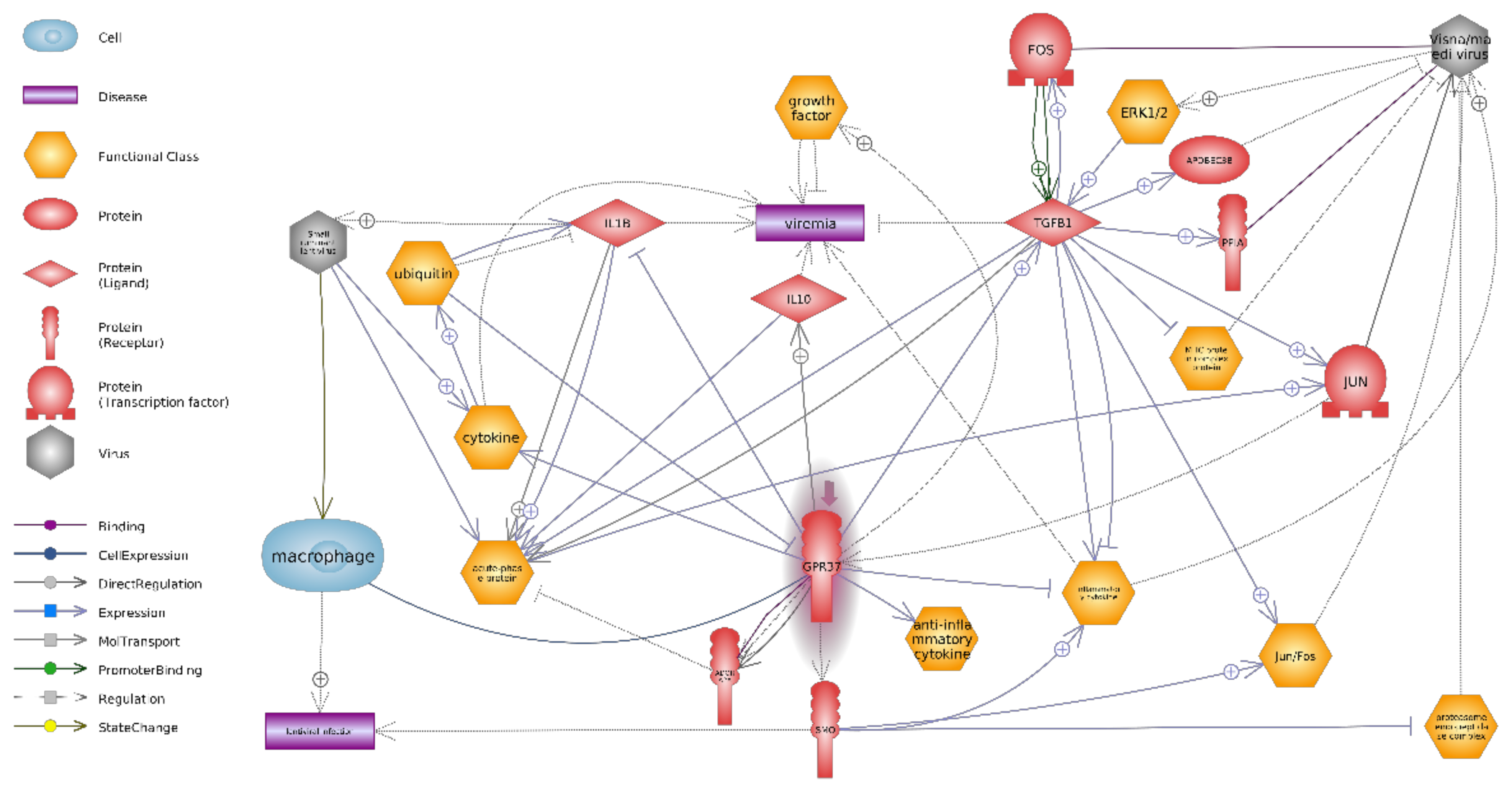 Animals 11 00940 g003 Animals 11 00940 g003