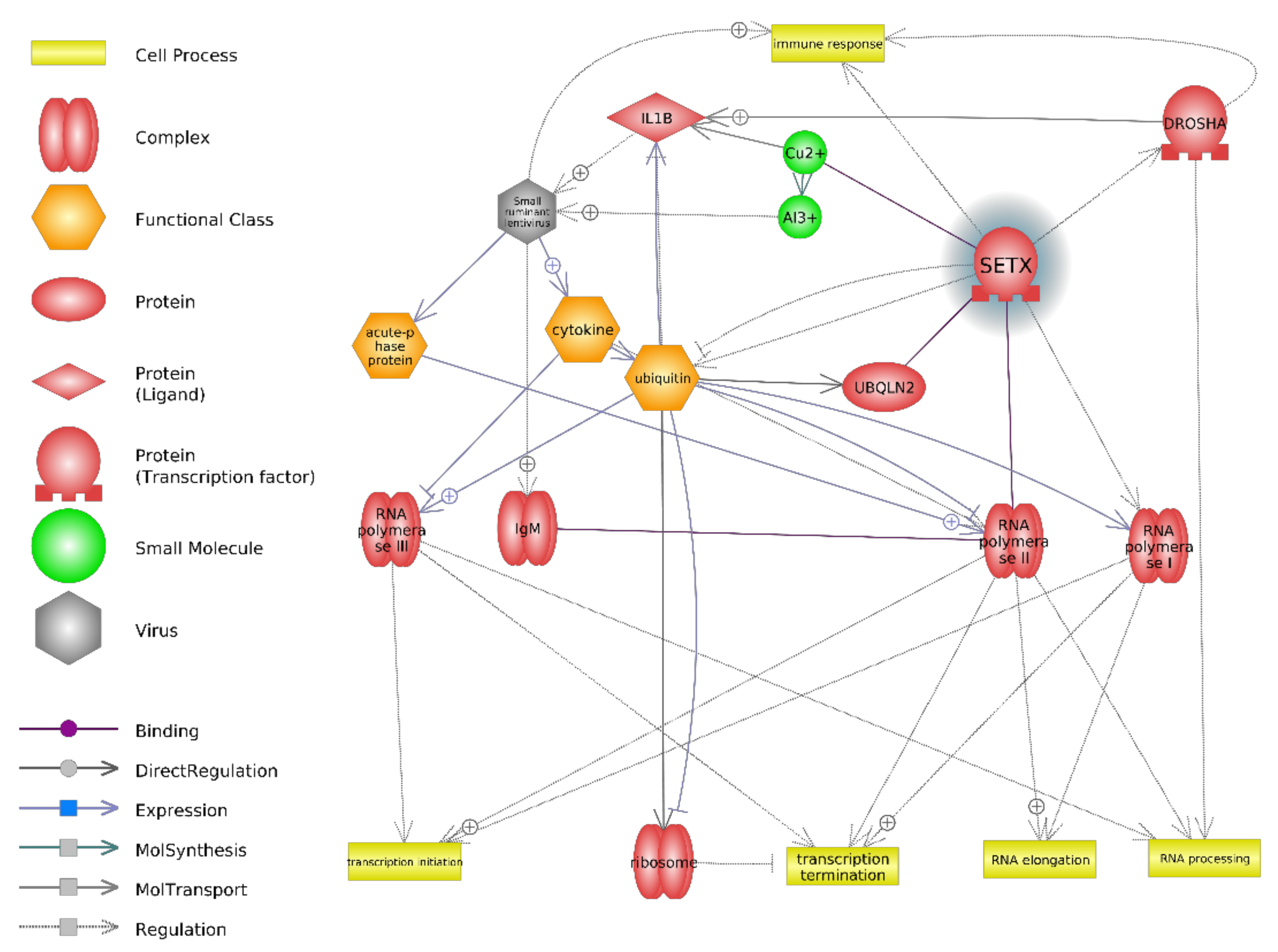 Animals 11 00940 g004 Animals 11 00940 g004