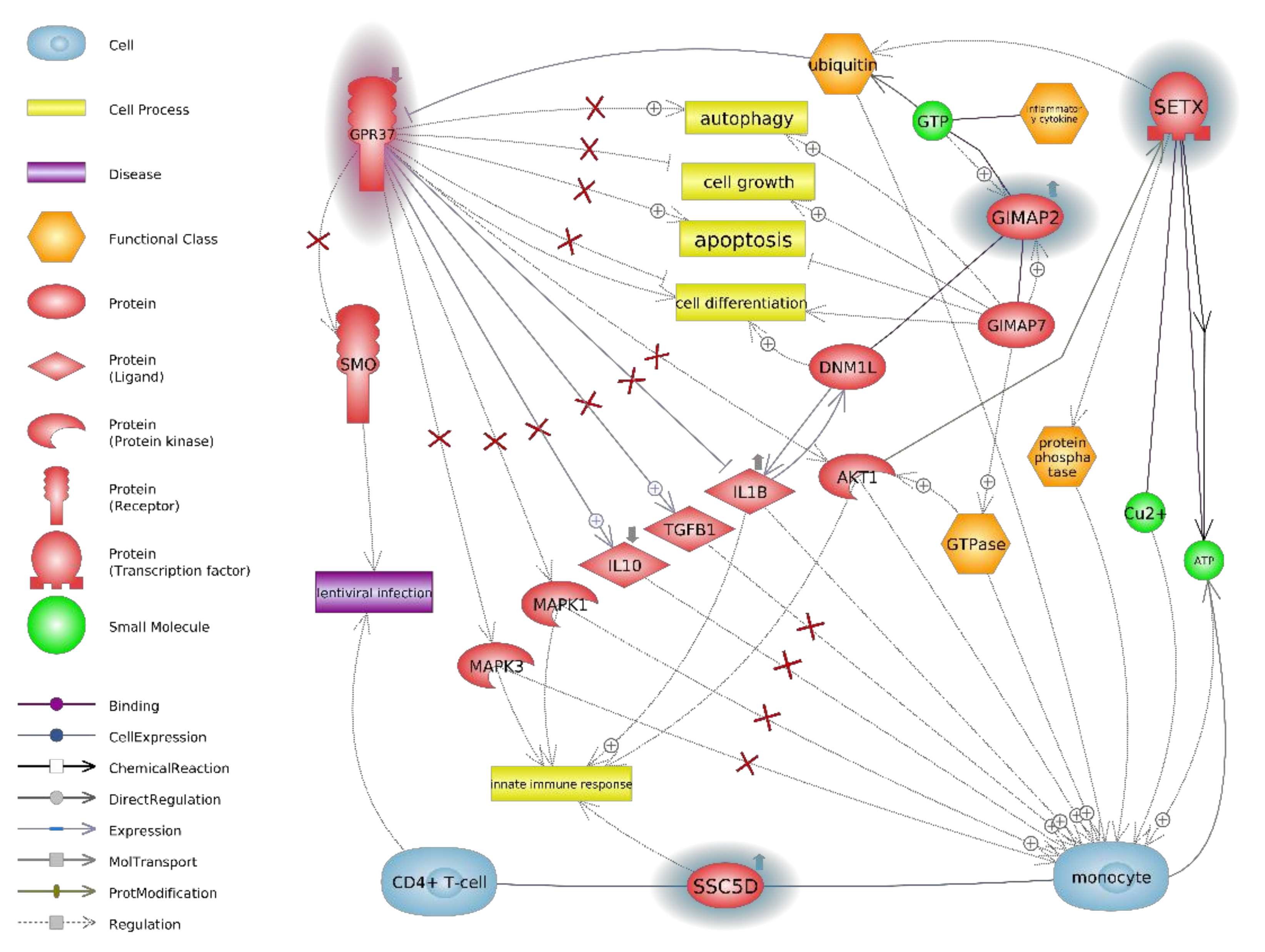 Animals 11 00940 g005 Animals 11 00940 g005