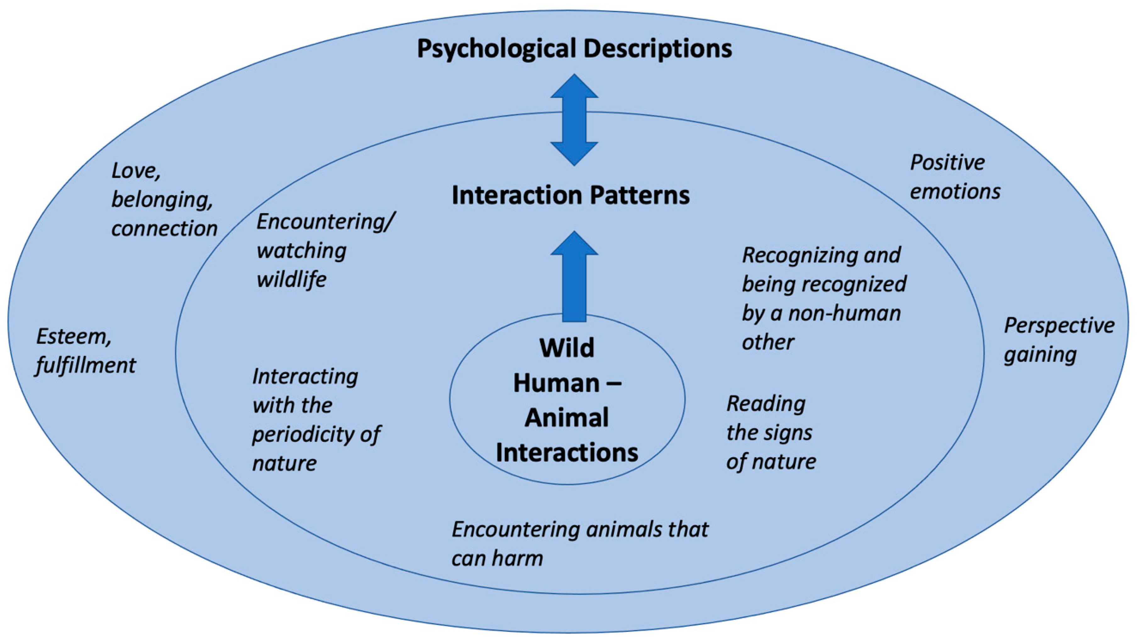 Animals Go Wild: The Urban-Animal Interface