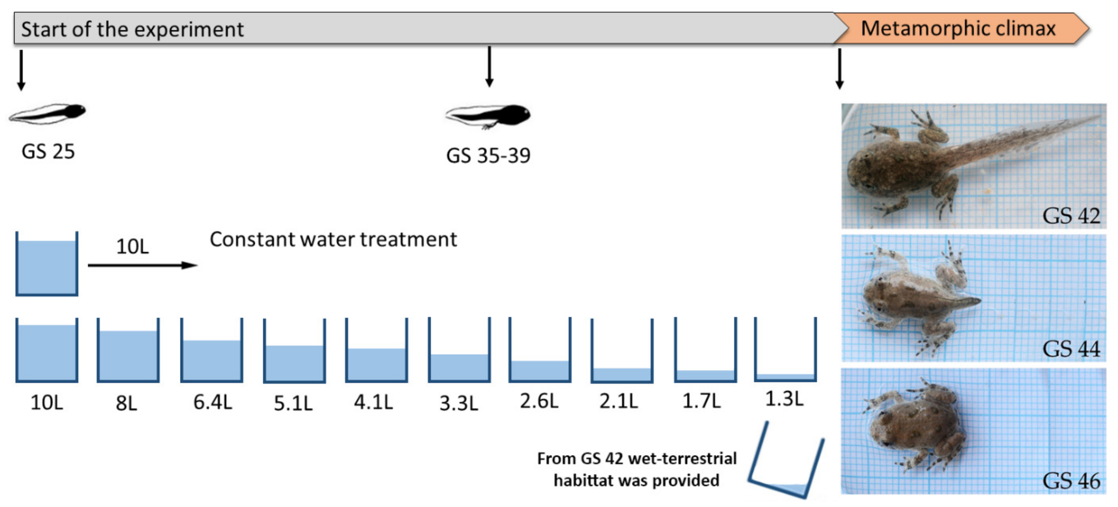Animals 11 00953 g001 Animals 11 00953 g001