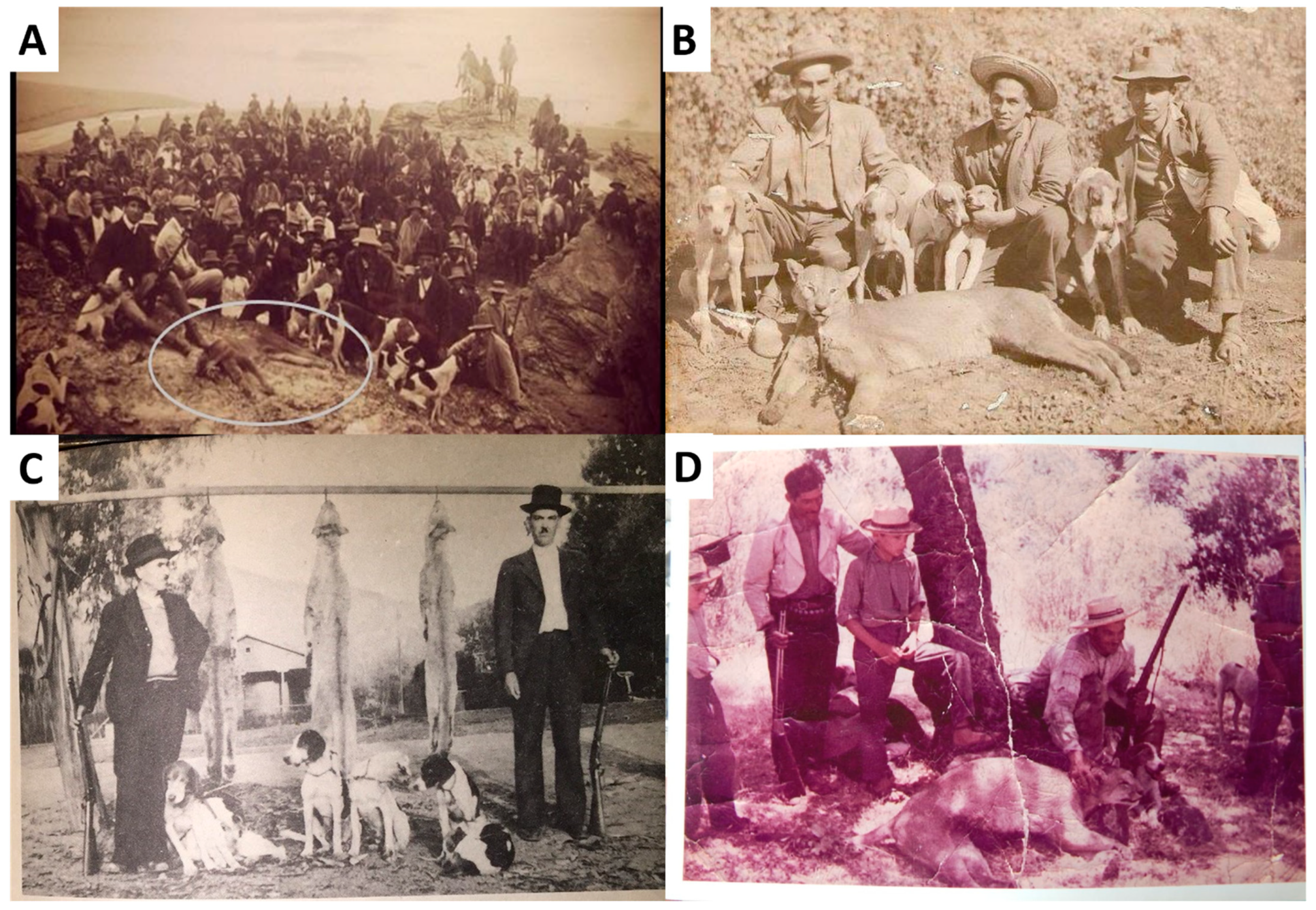 Animals 11 00965 g001 Animals 11 00965 g001