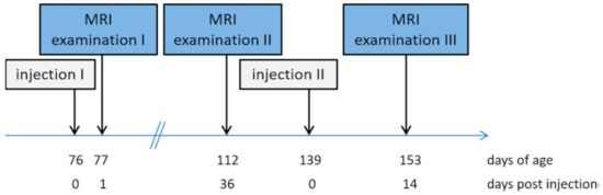 Animals | Free Full-Text | Detection of Local Tissue Reactions after Anti-GnRF Injection in Male Pigs Assessed Using Magnetic Resonance Imaging Animals | Free Full-Text | Detection of Local Tissue Reactions after Anti-GnRF Injection in Male Pigs Assessed Using Magnetic Resonance Imaging