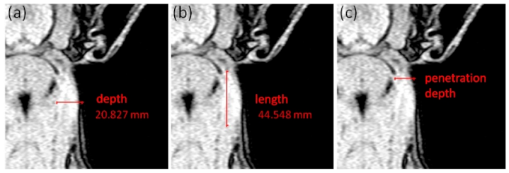 Animals 11 00968 g002 Animals 11 00968 g002