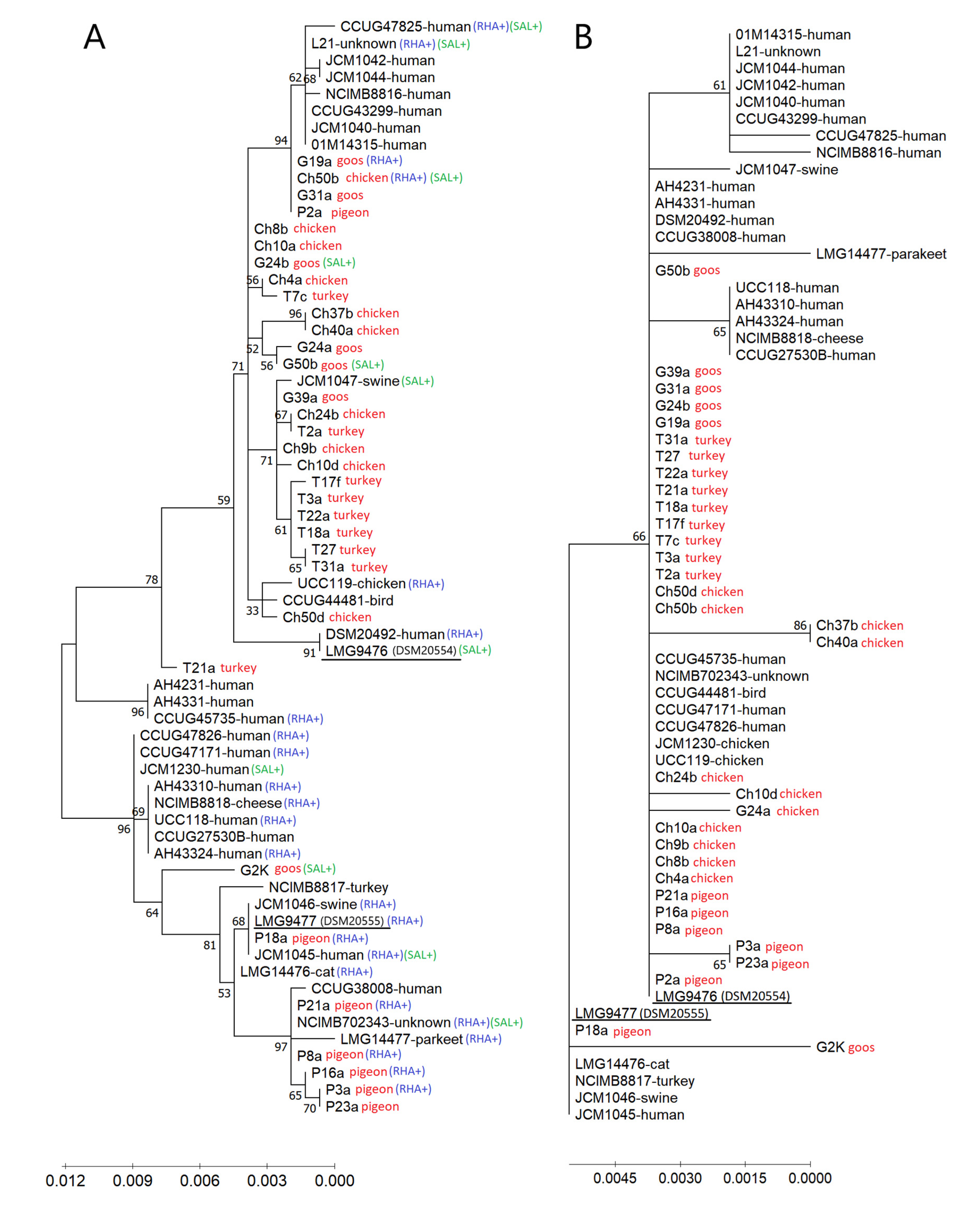 Animals 11 00972 g005 Animals 11 00972 g005