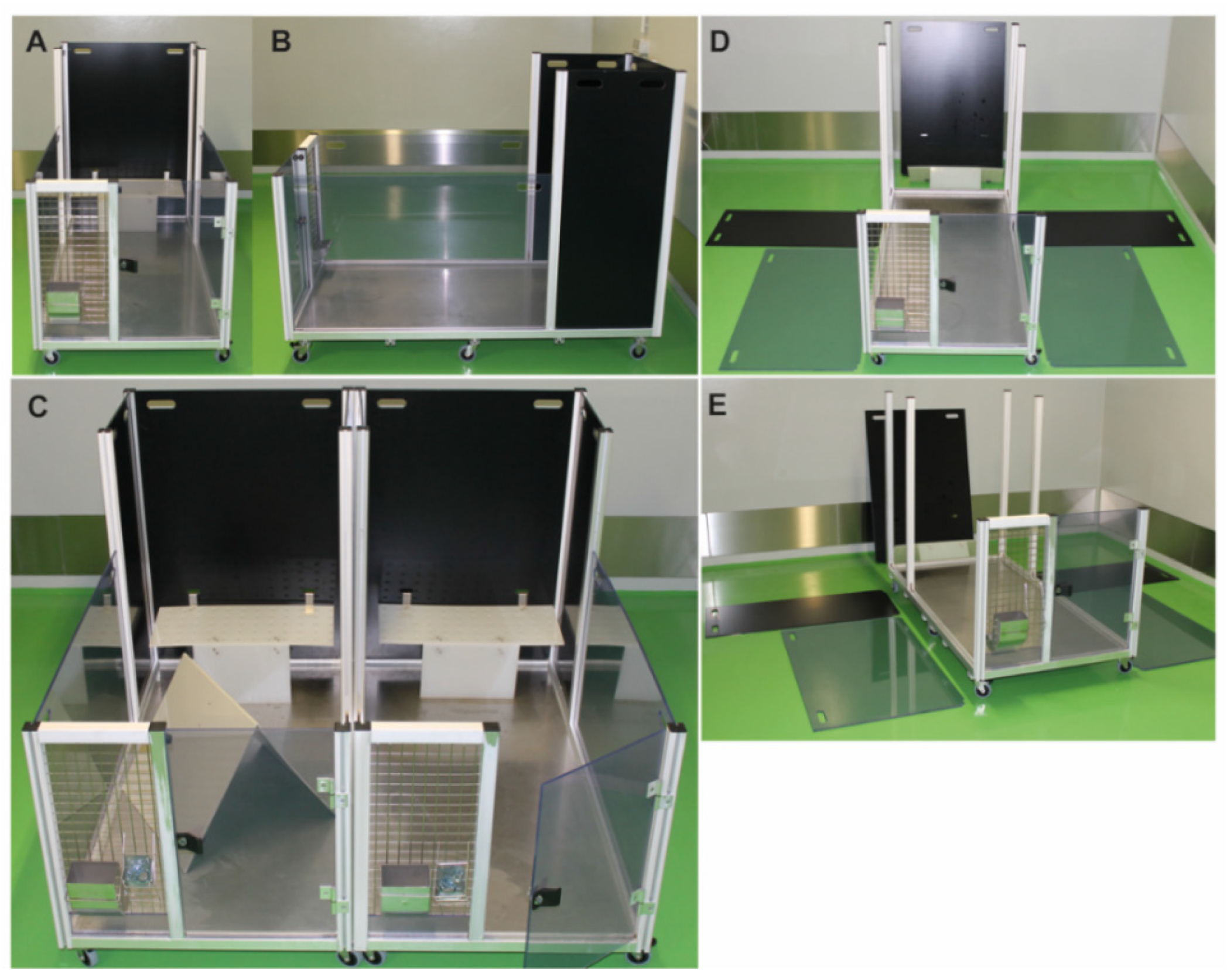 Animals 11 00977 g001