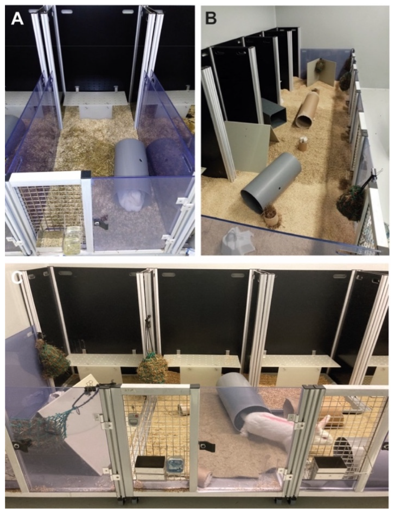 Animals 11 00977 g002