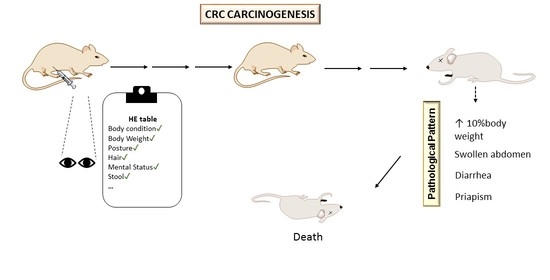 Animals Special Issue Laboratory Animals