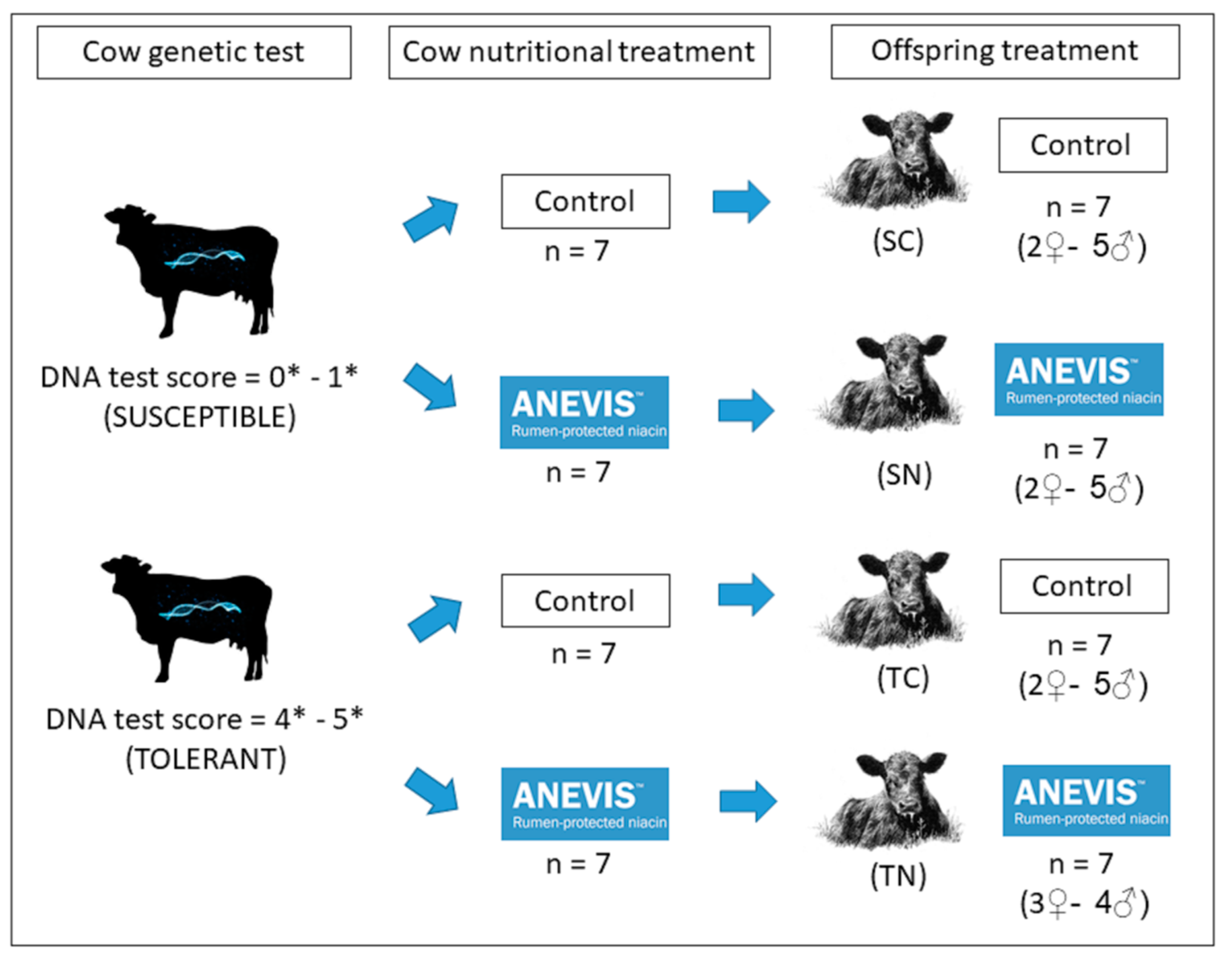 Animals 11 00988 g001