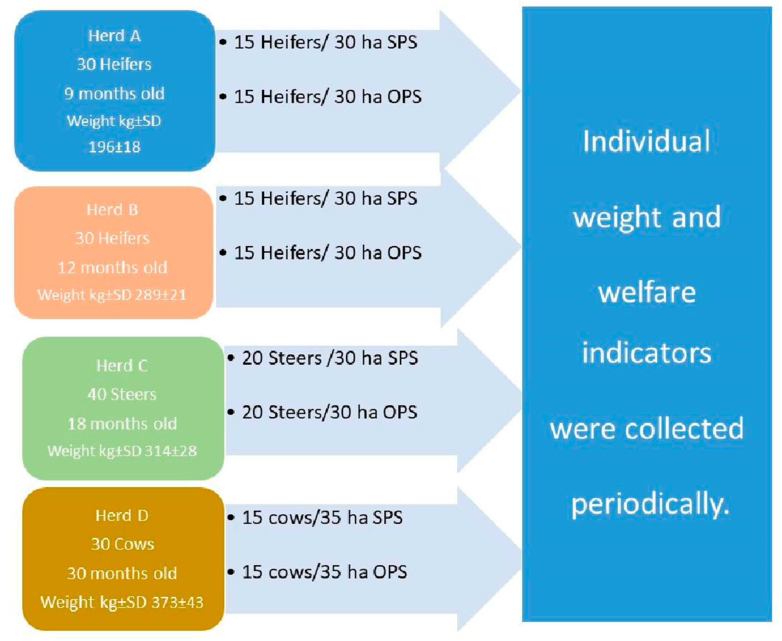 Animals | Free Full-Text | Benefits of Silvopastoral Systems for Keeping Beef Cattle Animals | Free Full-Text | Benefits of Silvopastoral Systems for Keeping Beef Cattle