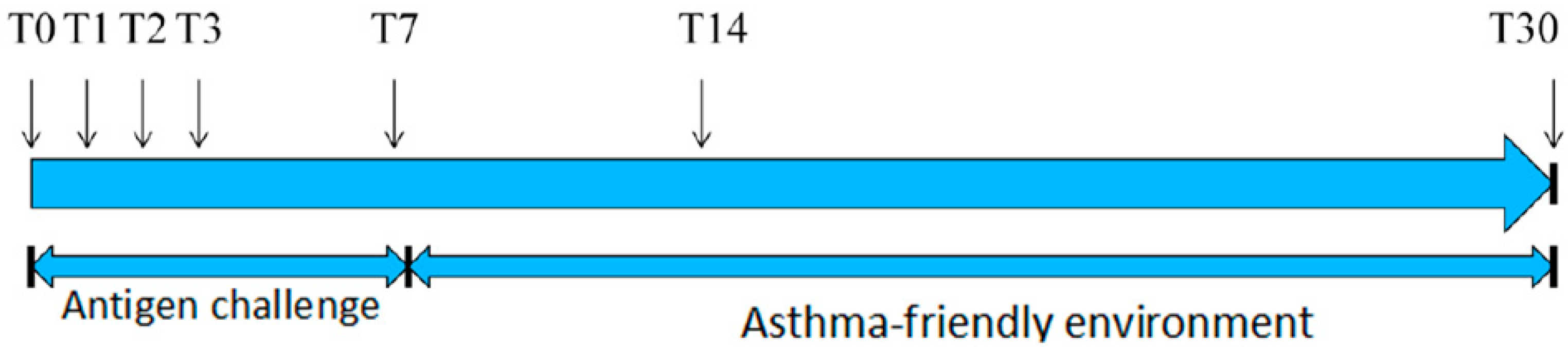 Animals 11 01001 g001