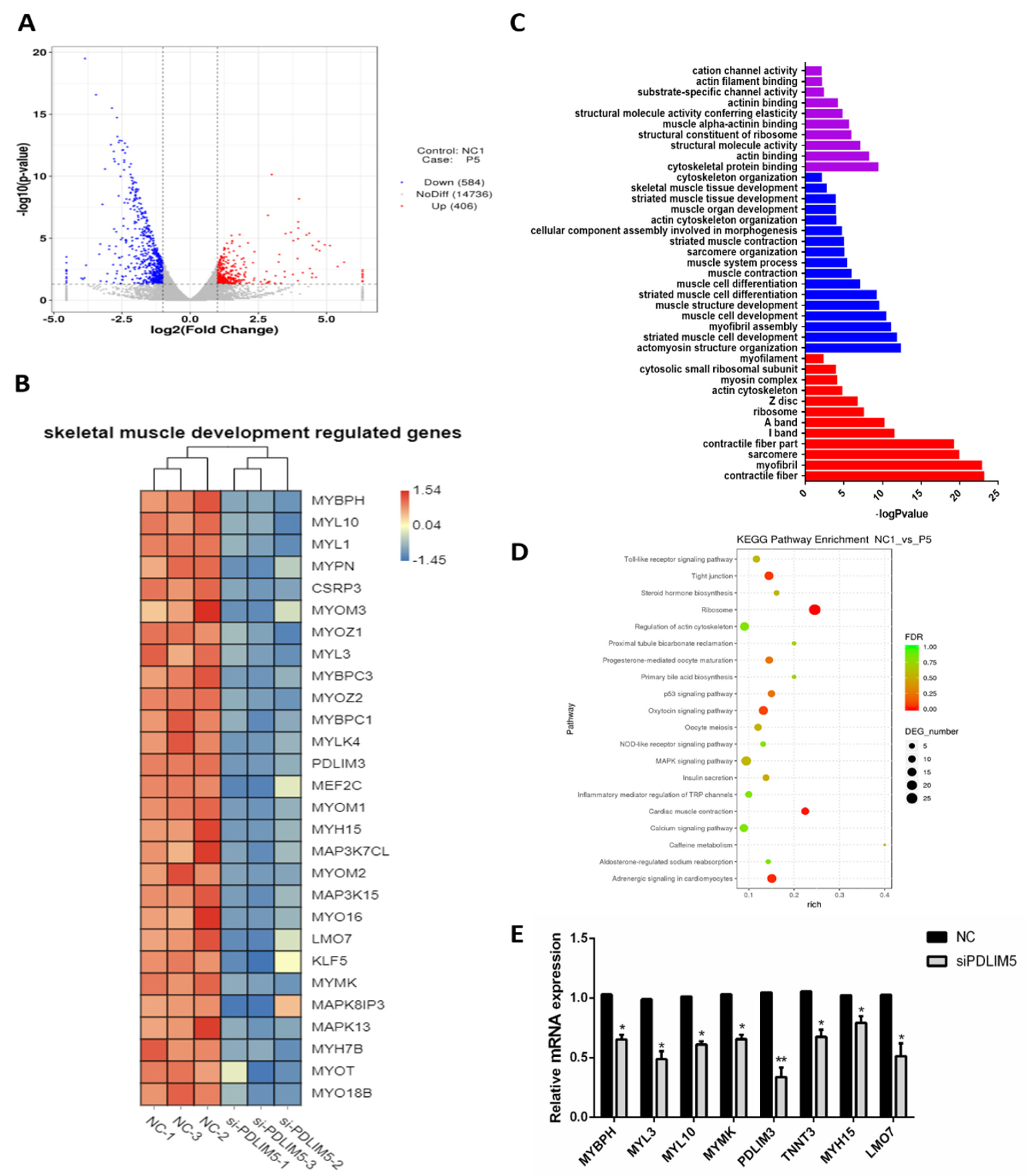Animals 11 01016 g004 Animals 11 01016 g004