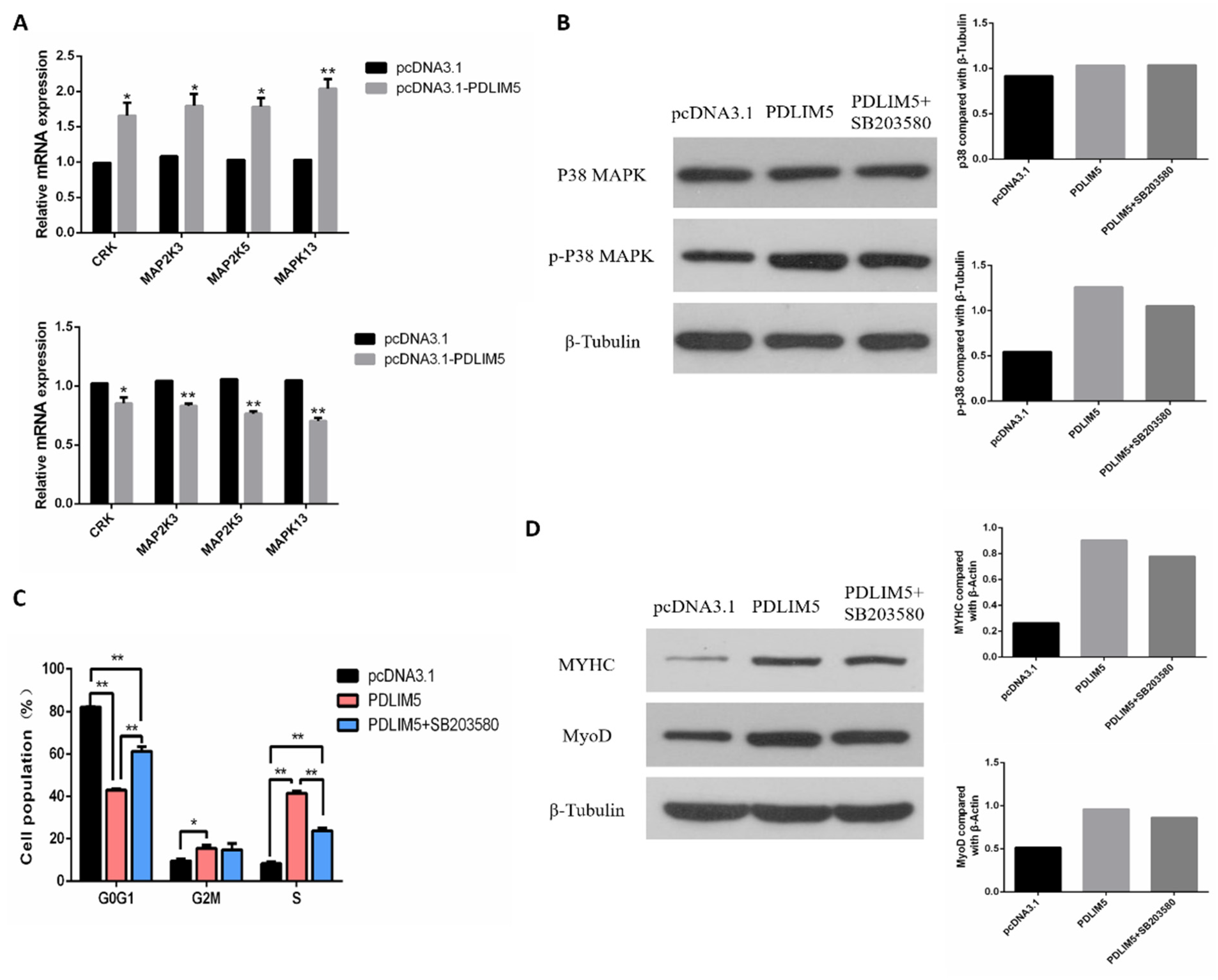 Animals 11 01016 g005 Animals 11 01016 g005