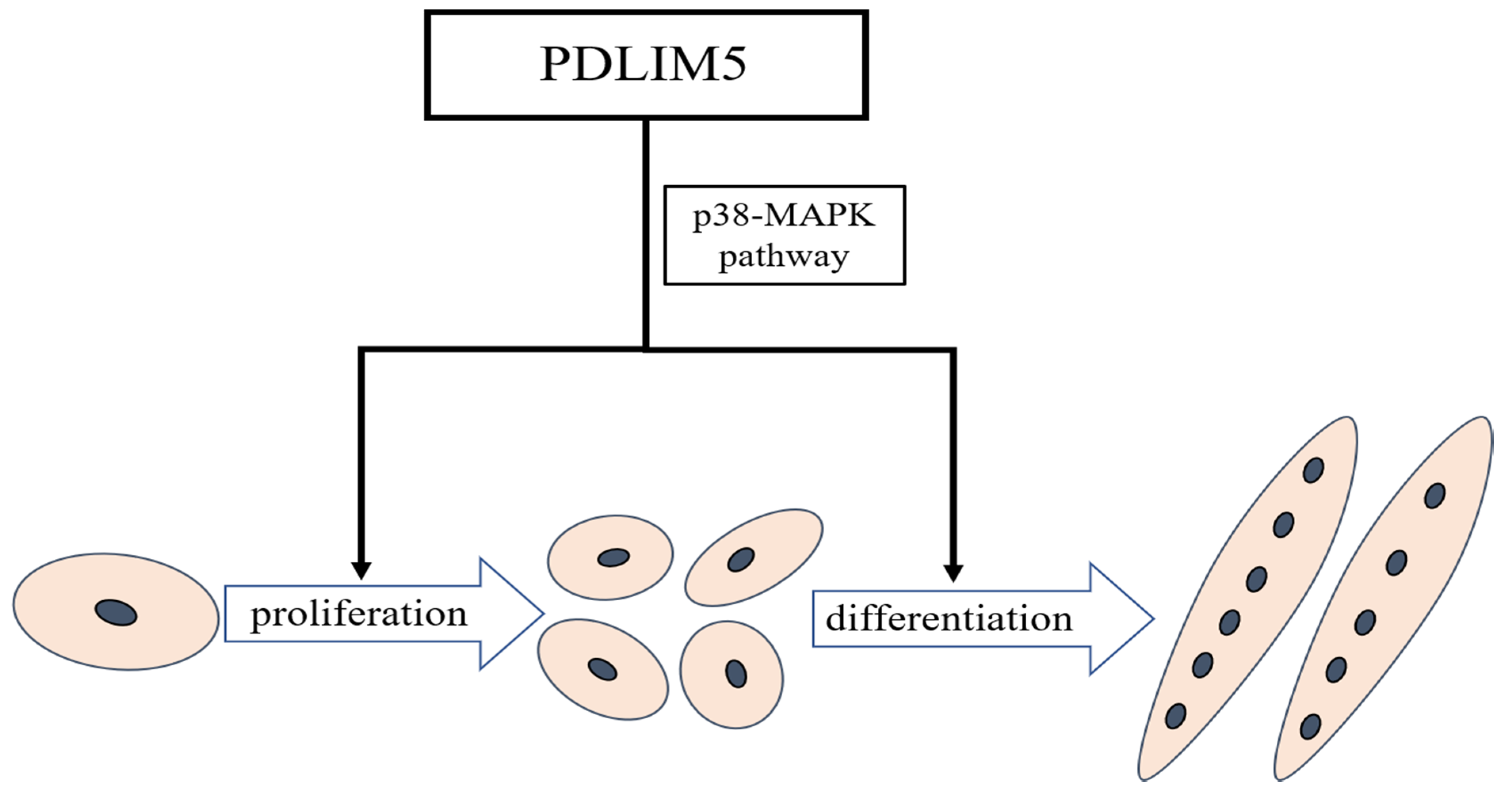 Animals 11 01016 g006 Animals 11 01016 g006