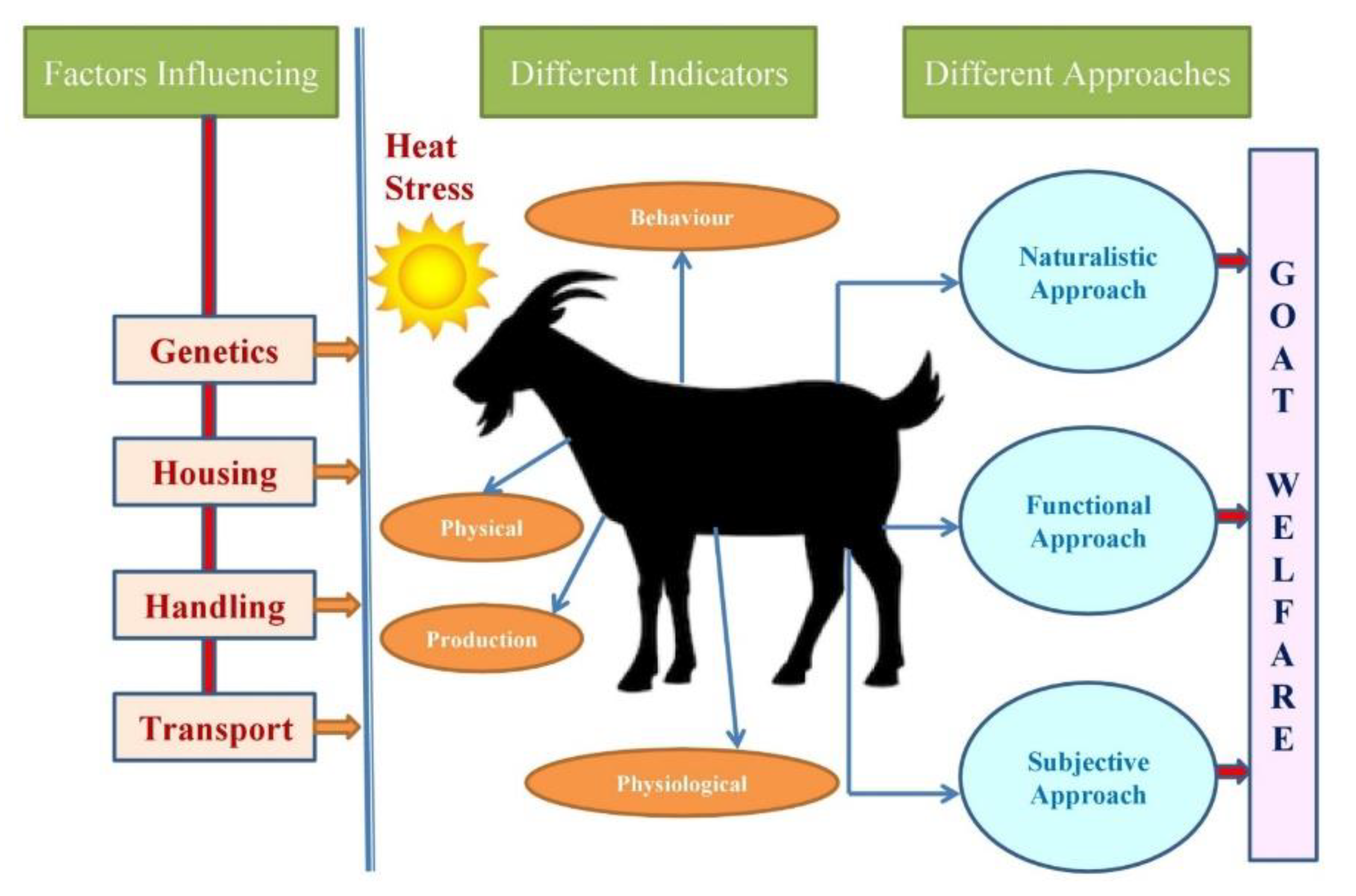 Animals | Free Full-Text | Heat Stress and Goat Welfare: Adaptation and Production Considerations Animals | Free Full-Text | Heat Stress and Goat Welfare: Adaptation and Production Considerations