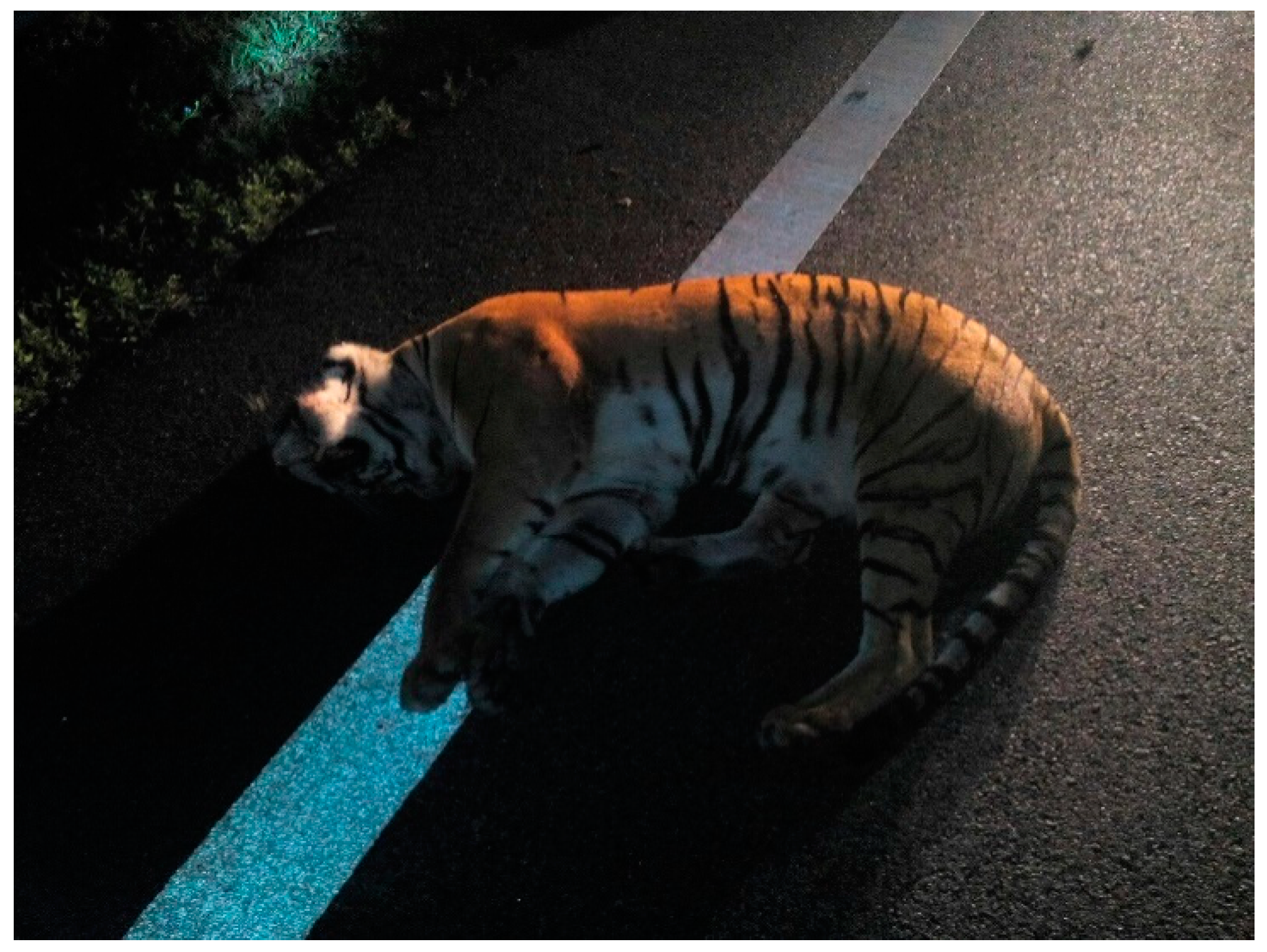 Animals 11 01032 g005 Animals 11 01032 g005