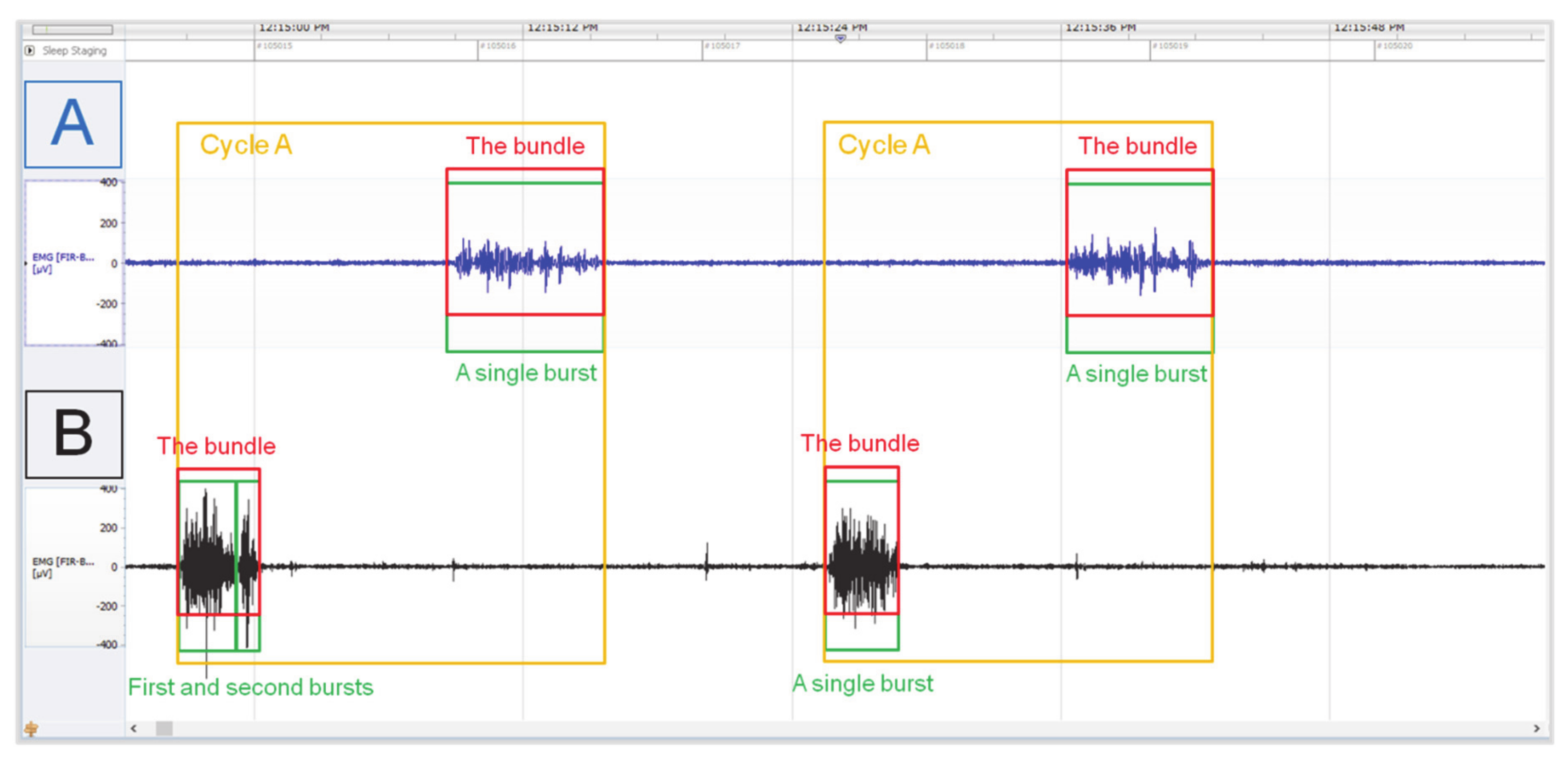 Animals 11 01052 g001 Animals 11 01052 g001