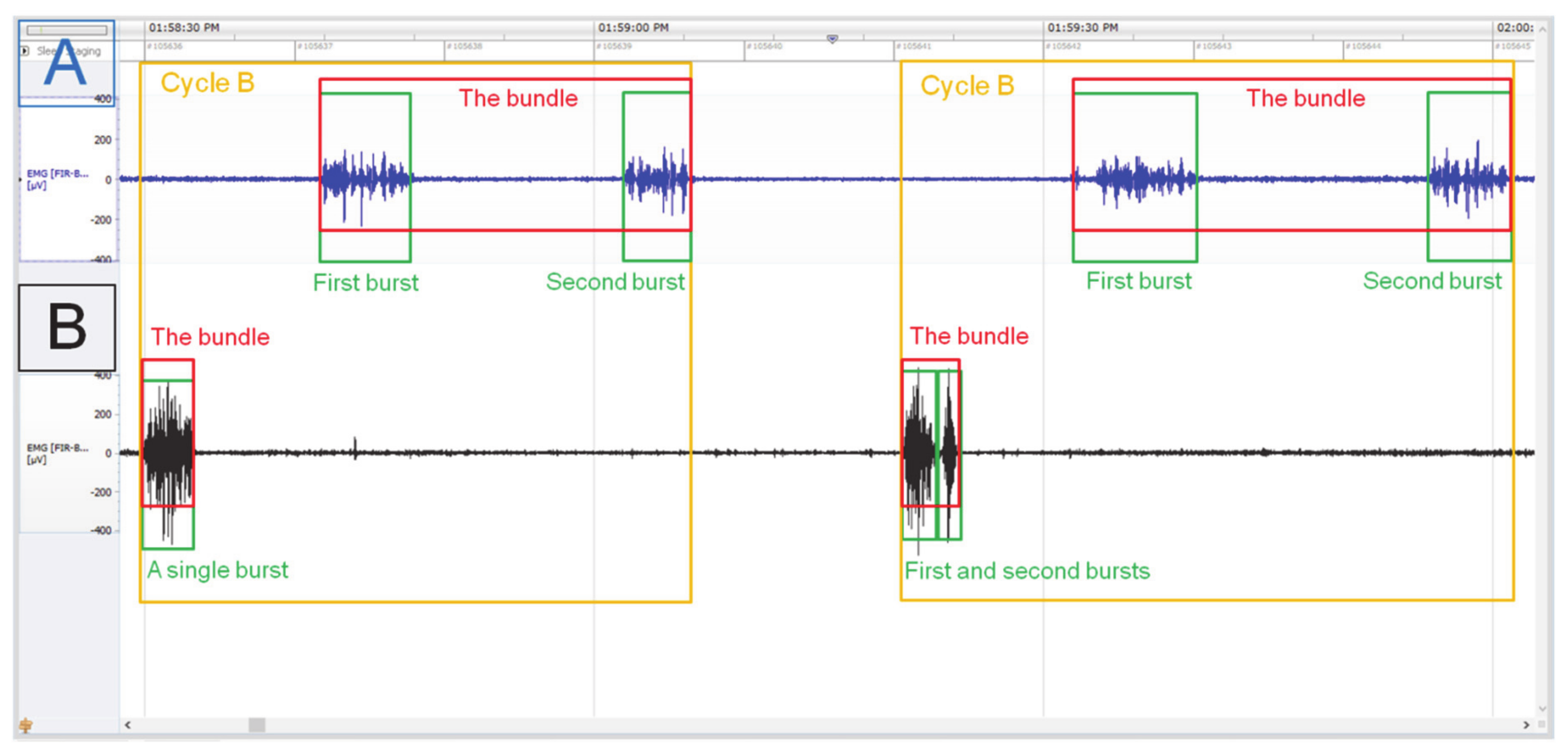 Animals 11 01052 g002 Animals 11 01052 g002