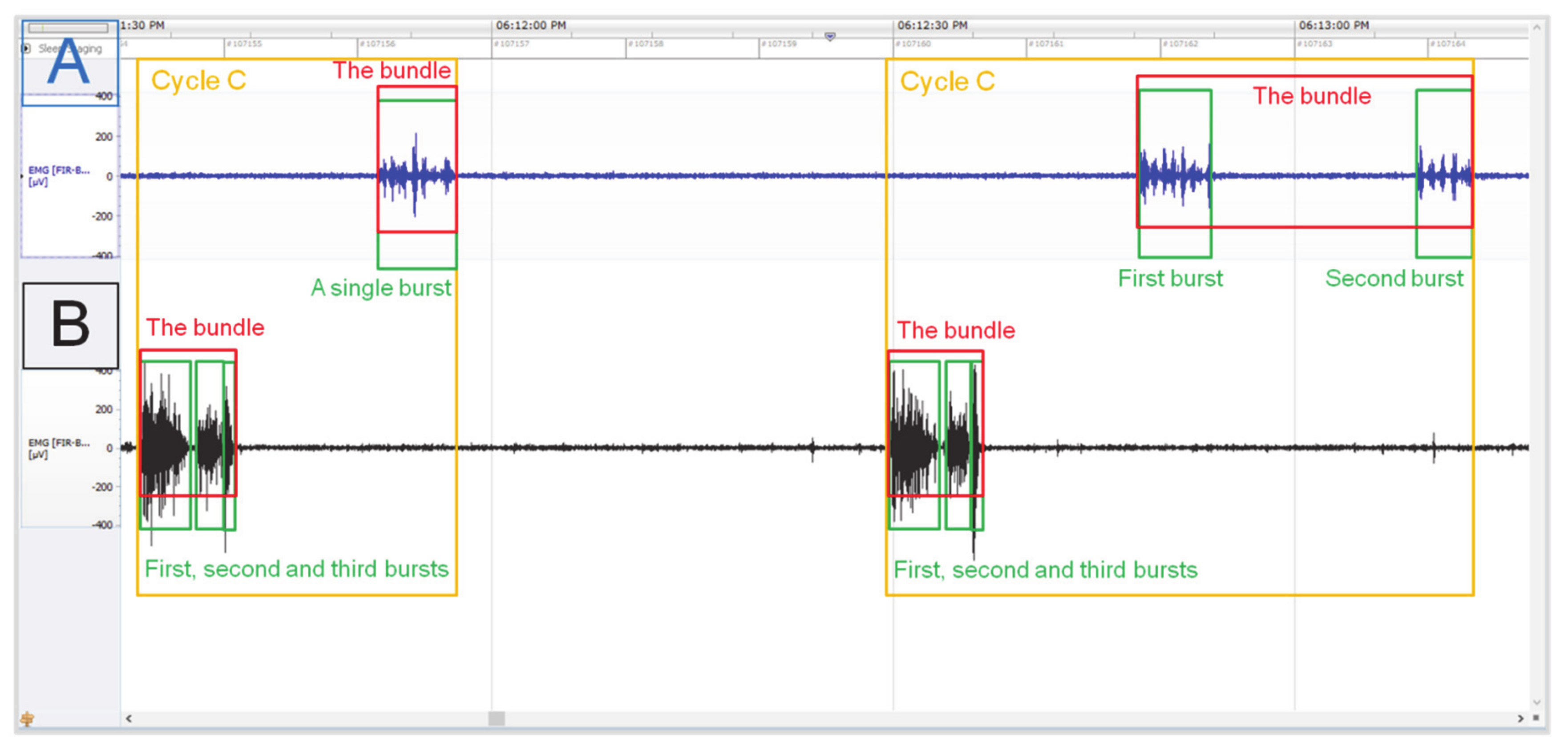 Animals 11 01052 g003 Animals 11 01052 g003