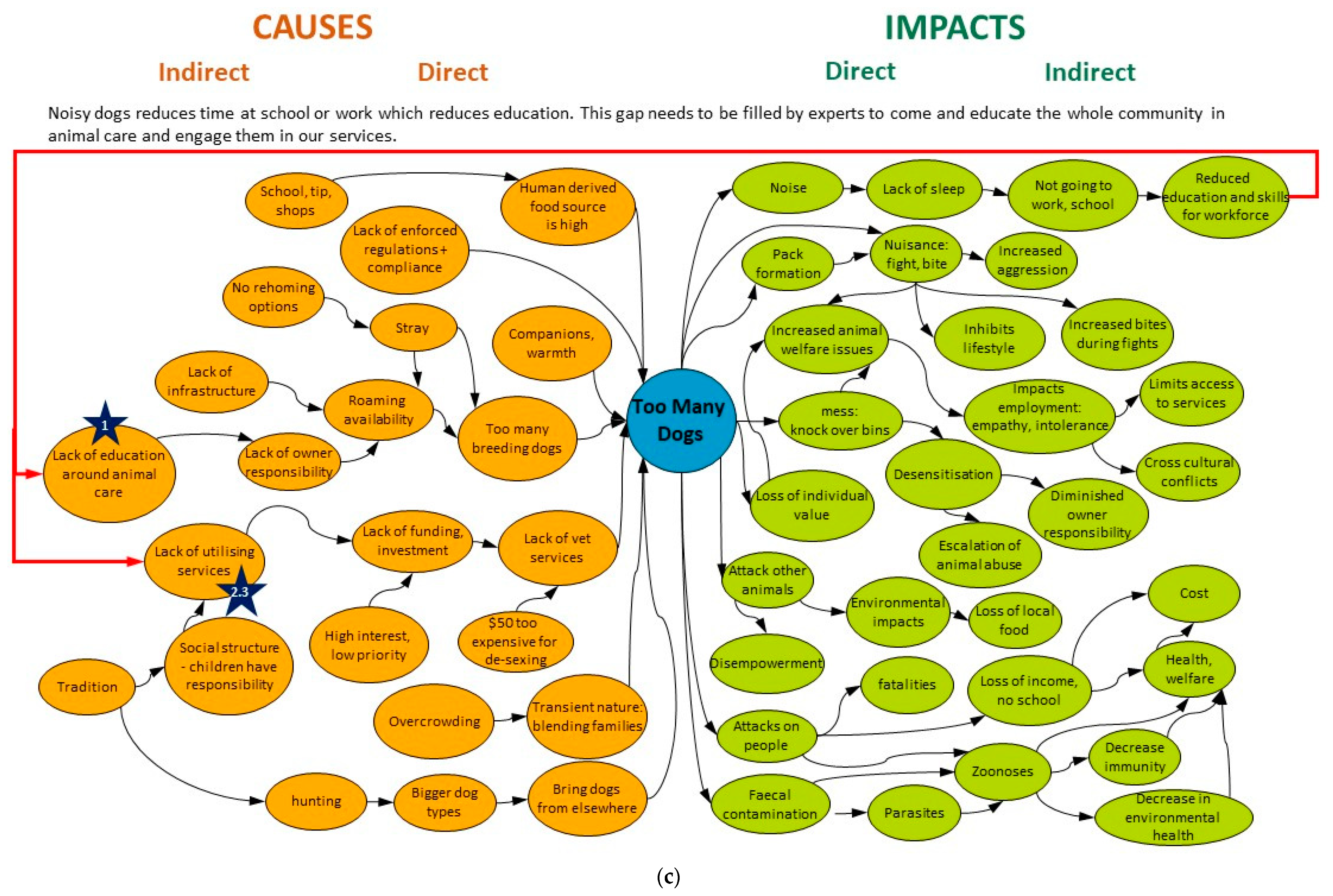Animals | Free Full-Text | Causal Loop Analysis Can Identify Solutions to Complex Dog Management Problems in Remote Australian Aboriginal Communities Animals | Free Full-Text | Causal Loop Analysis Can Identify Solutions to Complex Dog Management Problems in Remote Australian Aboriginal Communities
