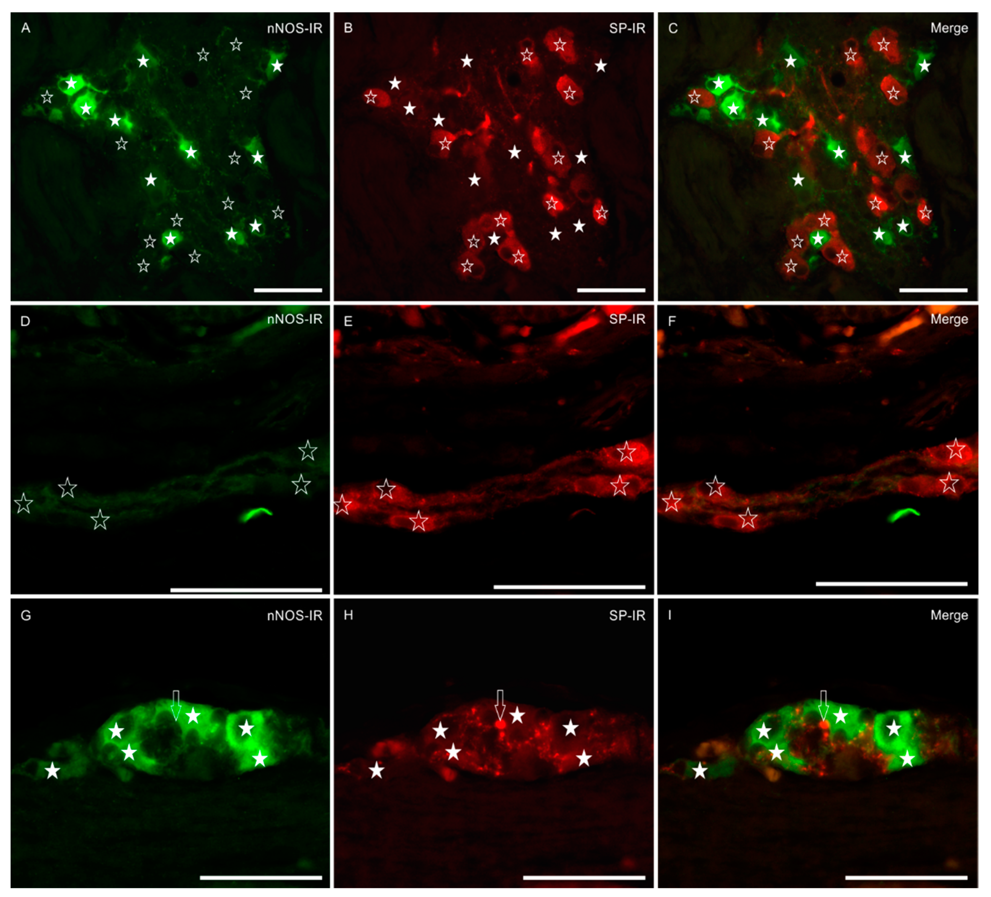 Animals 11 01057 g002