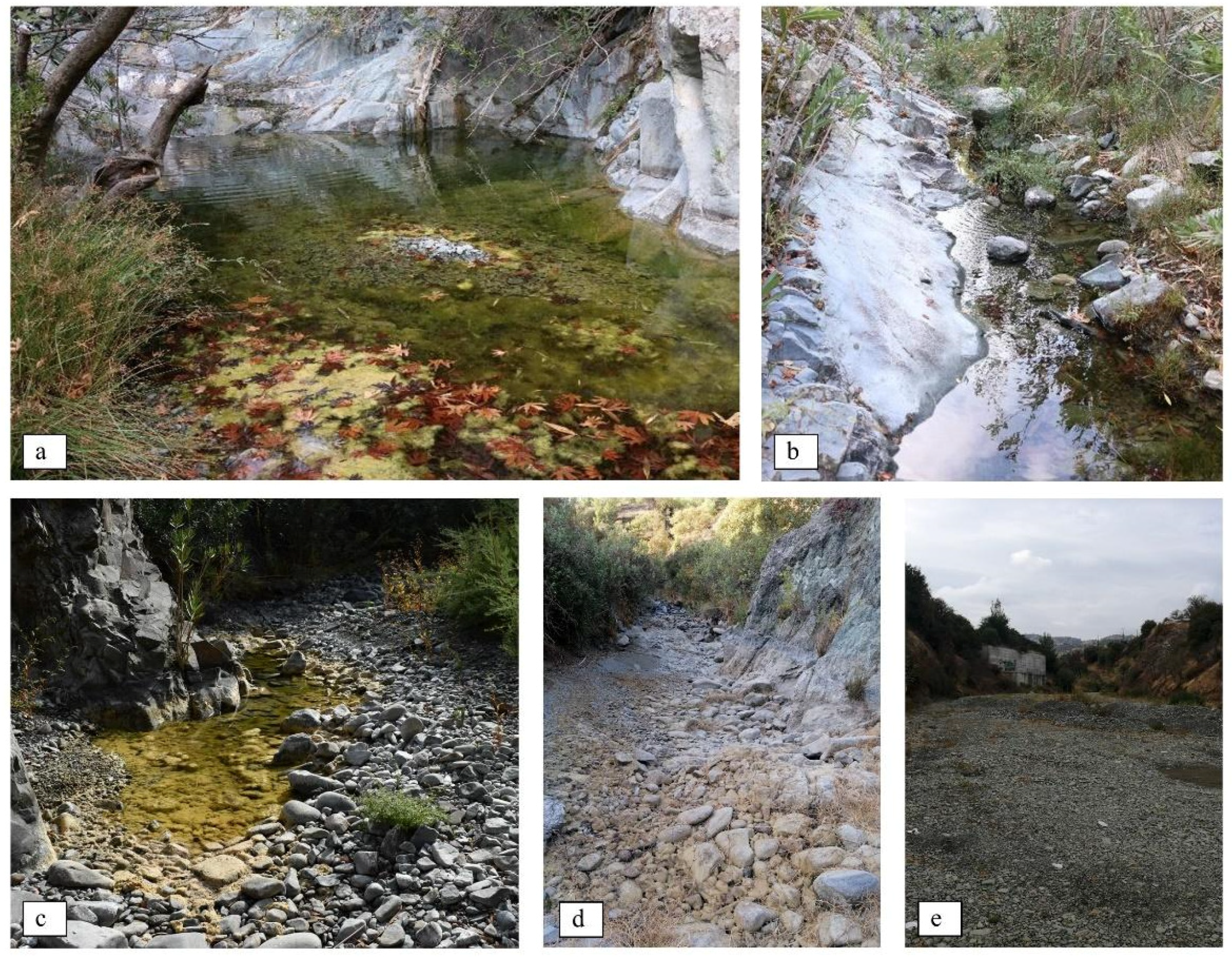 Animals 11 01077 g002 Animals 11 01077 g002