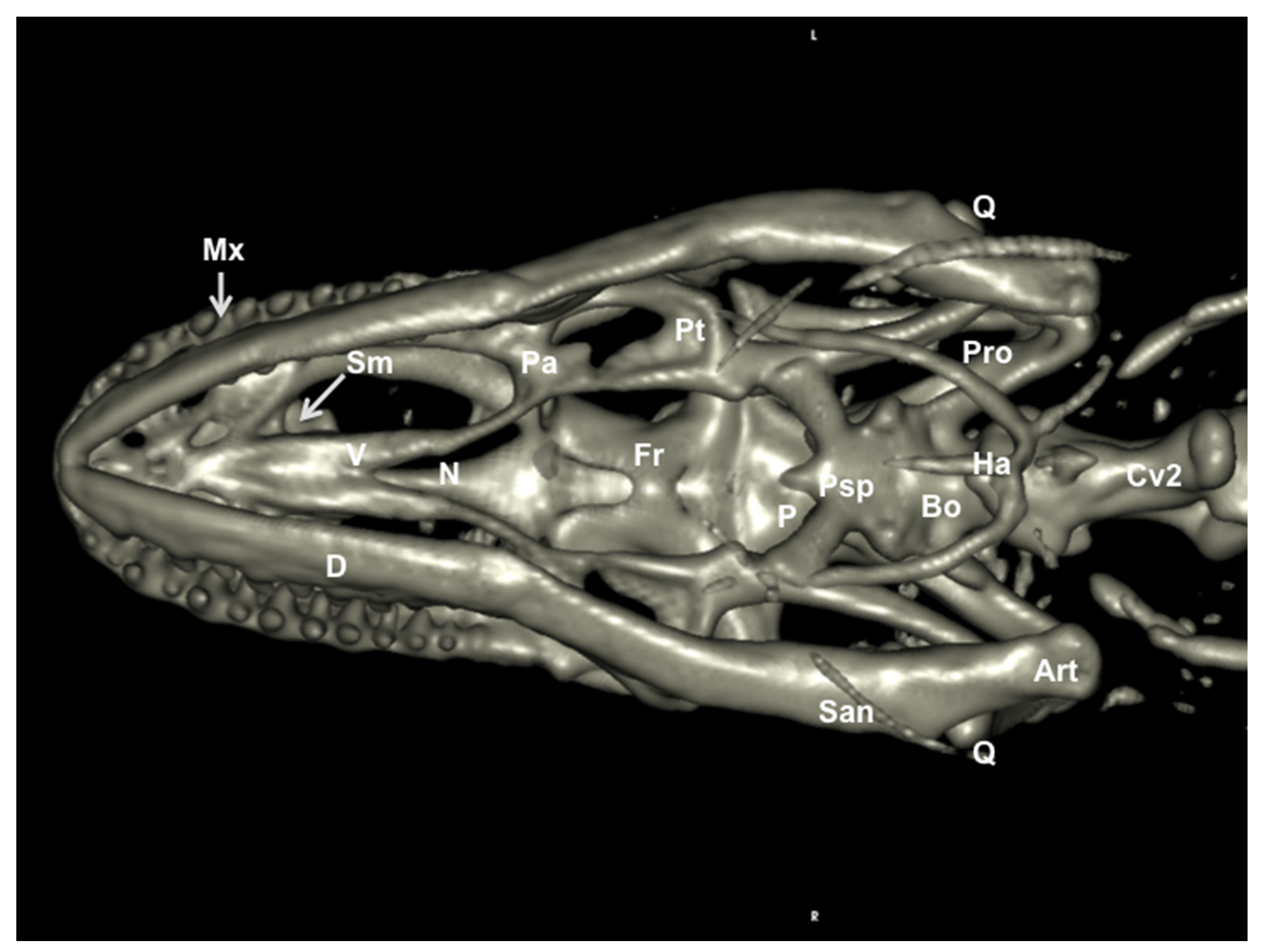 Animals 11 01078 g008 Animals 11 01078 g008