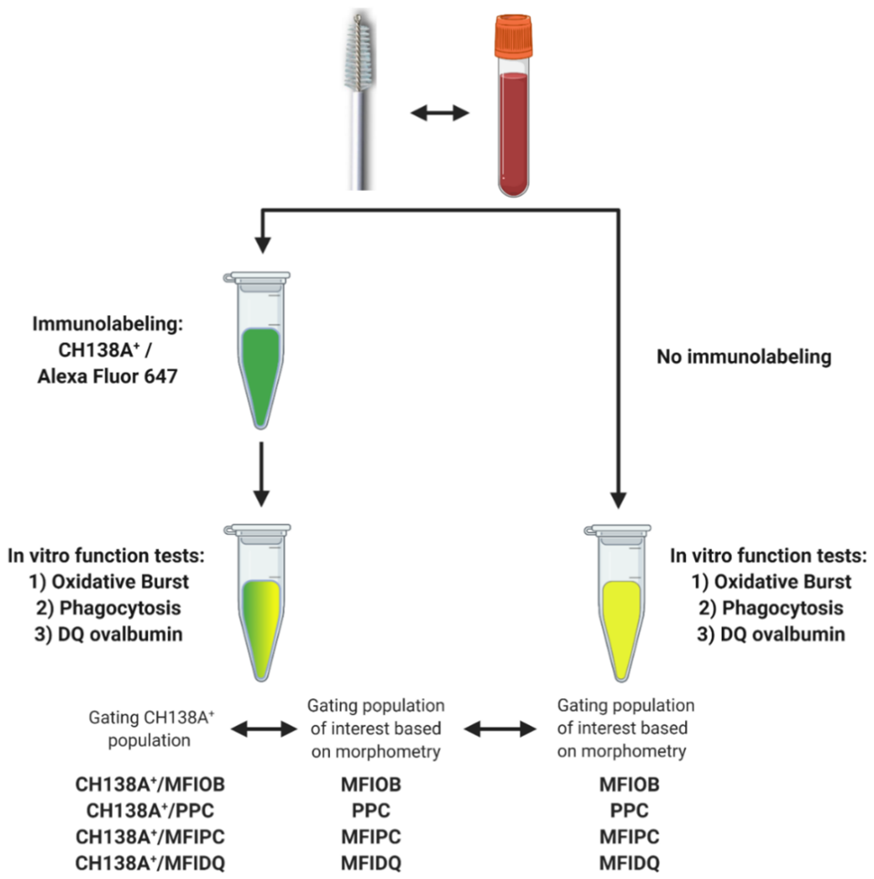 Animals 11 01081 g002 Animals 11 01081 g002