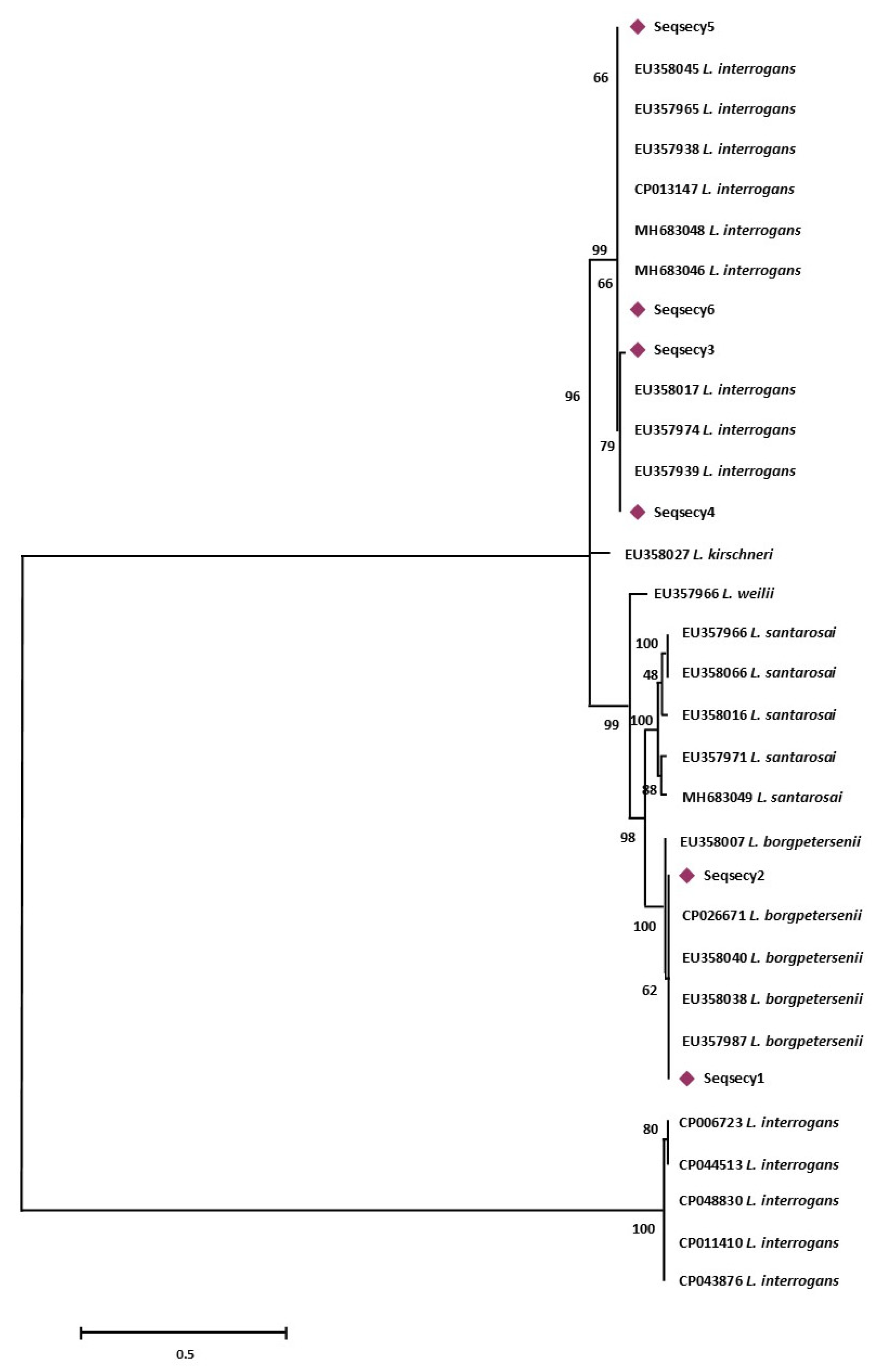 Animals 11 01109 g002 Animals 11 01109 g002