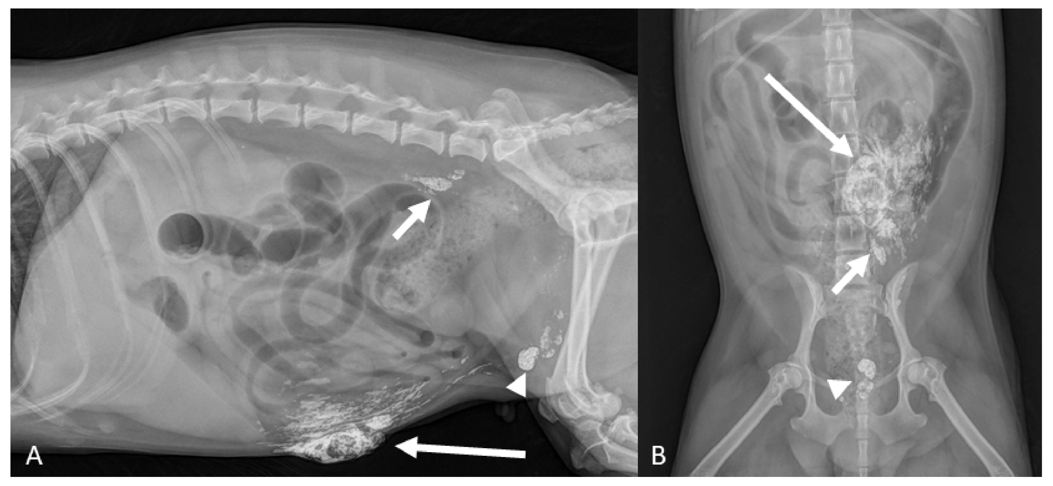 Animals 11 01115 g003 Animals 11 01115 g003