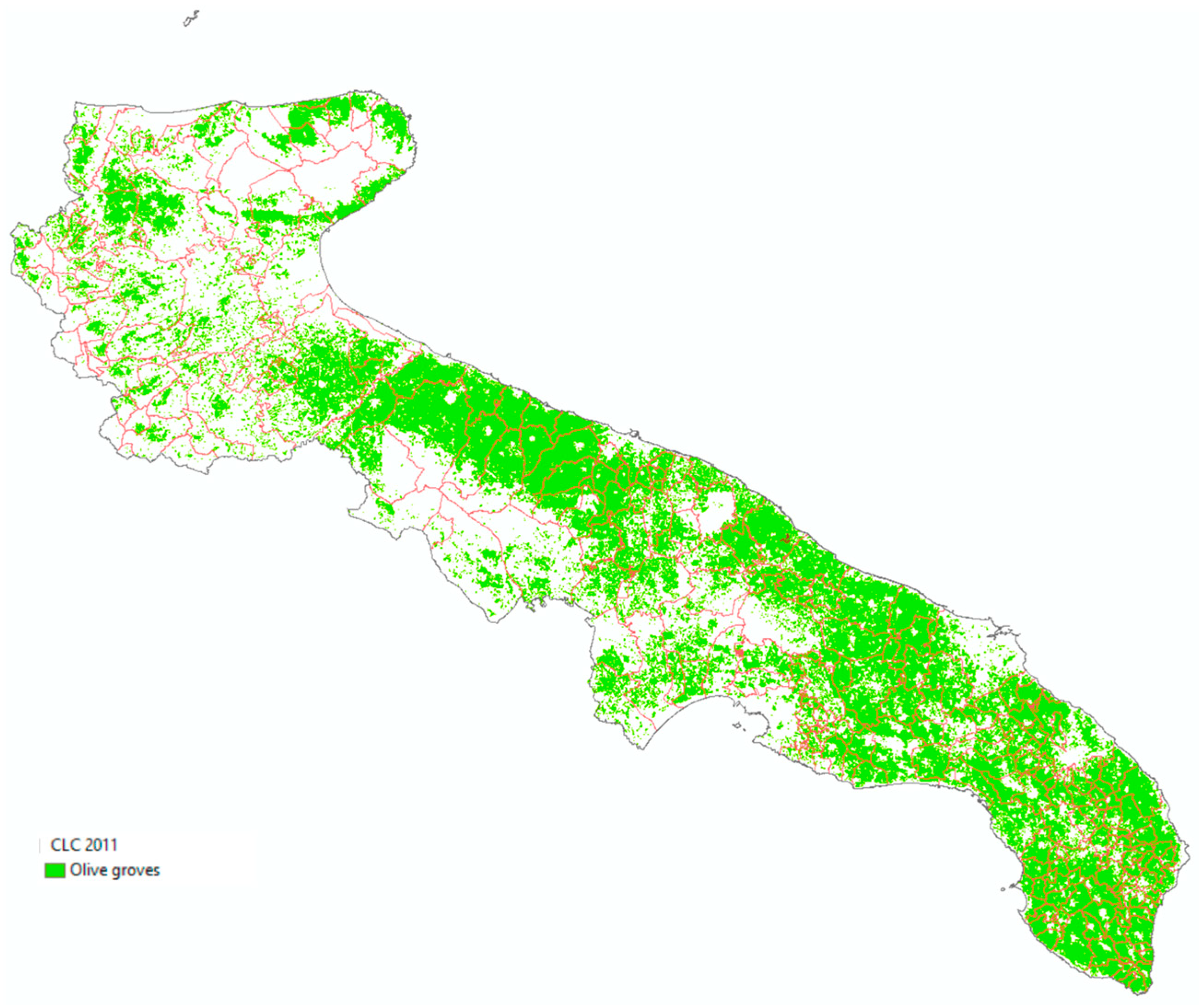 Animals 11 01119 g002