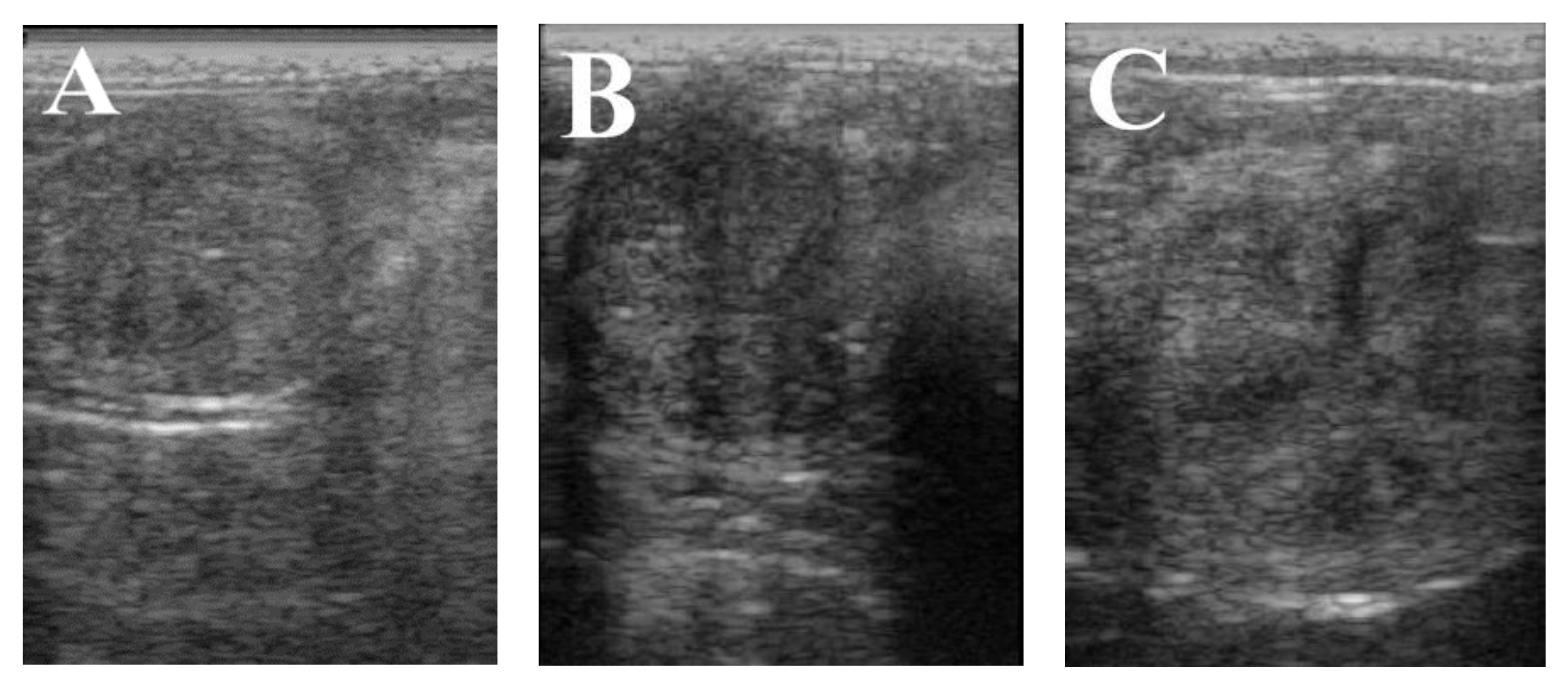 Animals 11 01123 g002