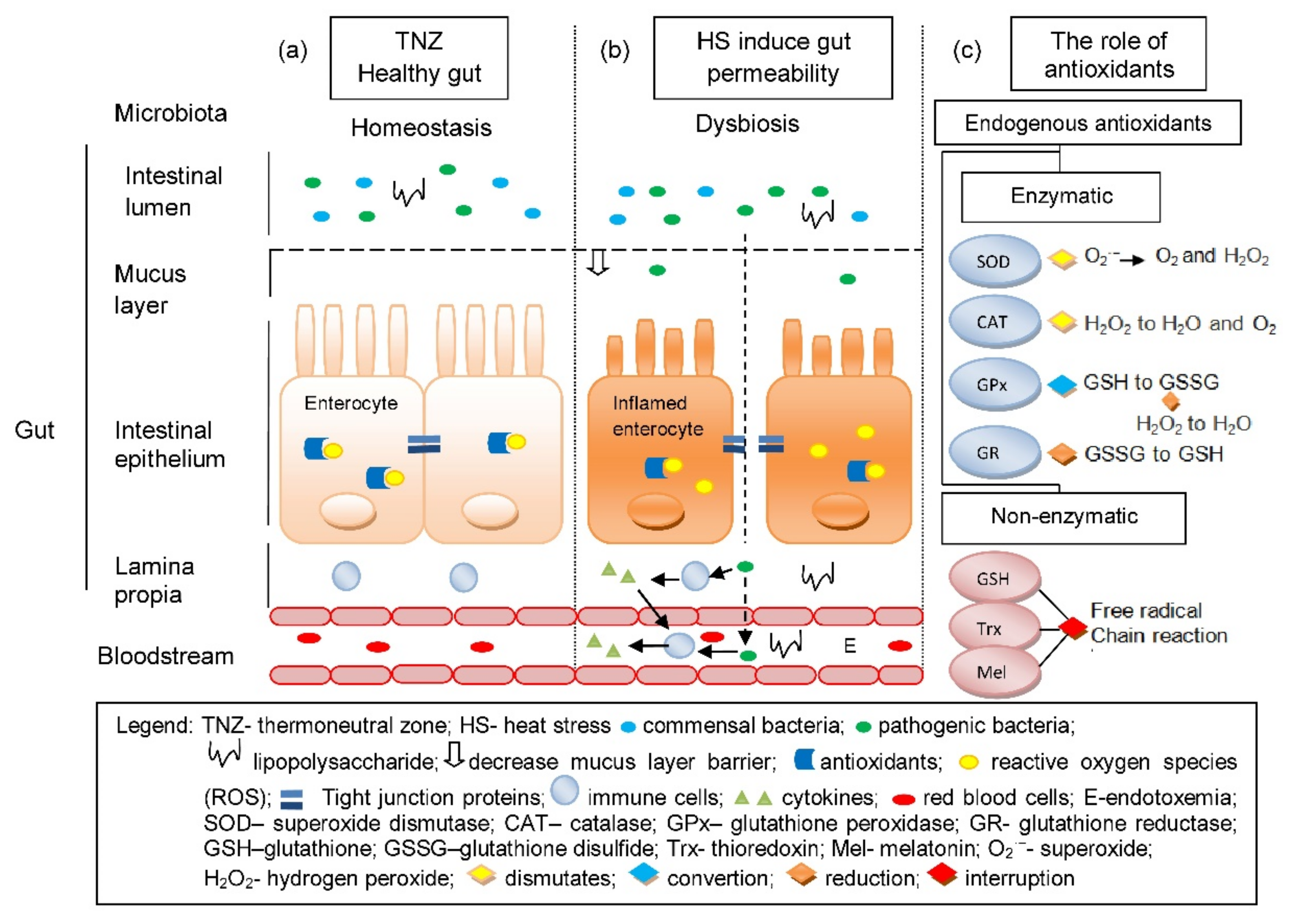 Animals 11 01135 g001 Animals 11 01135 g001