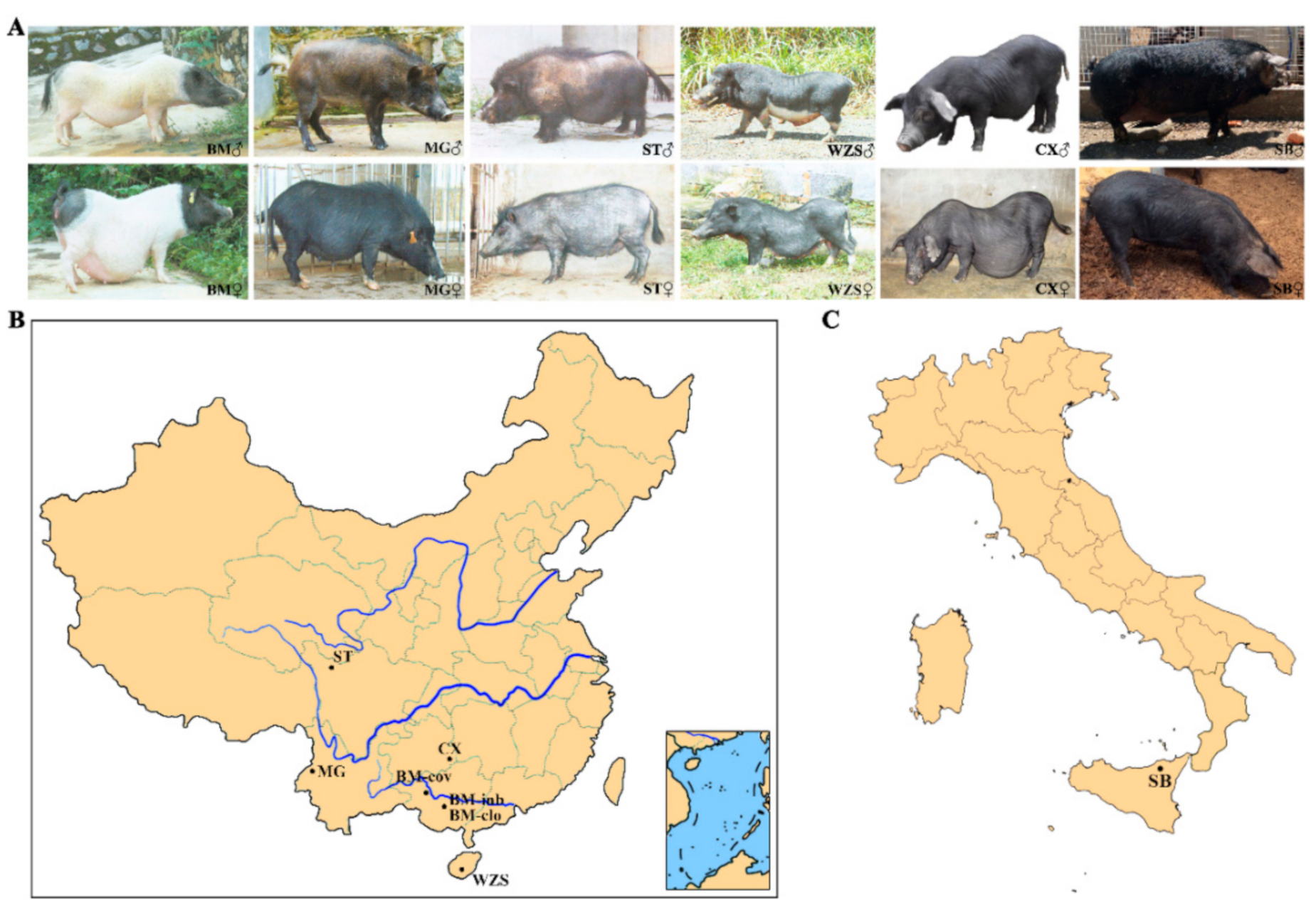 Animals 11 01136 g001