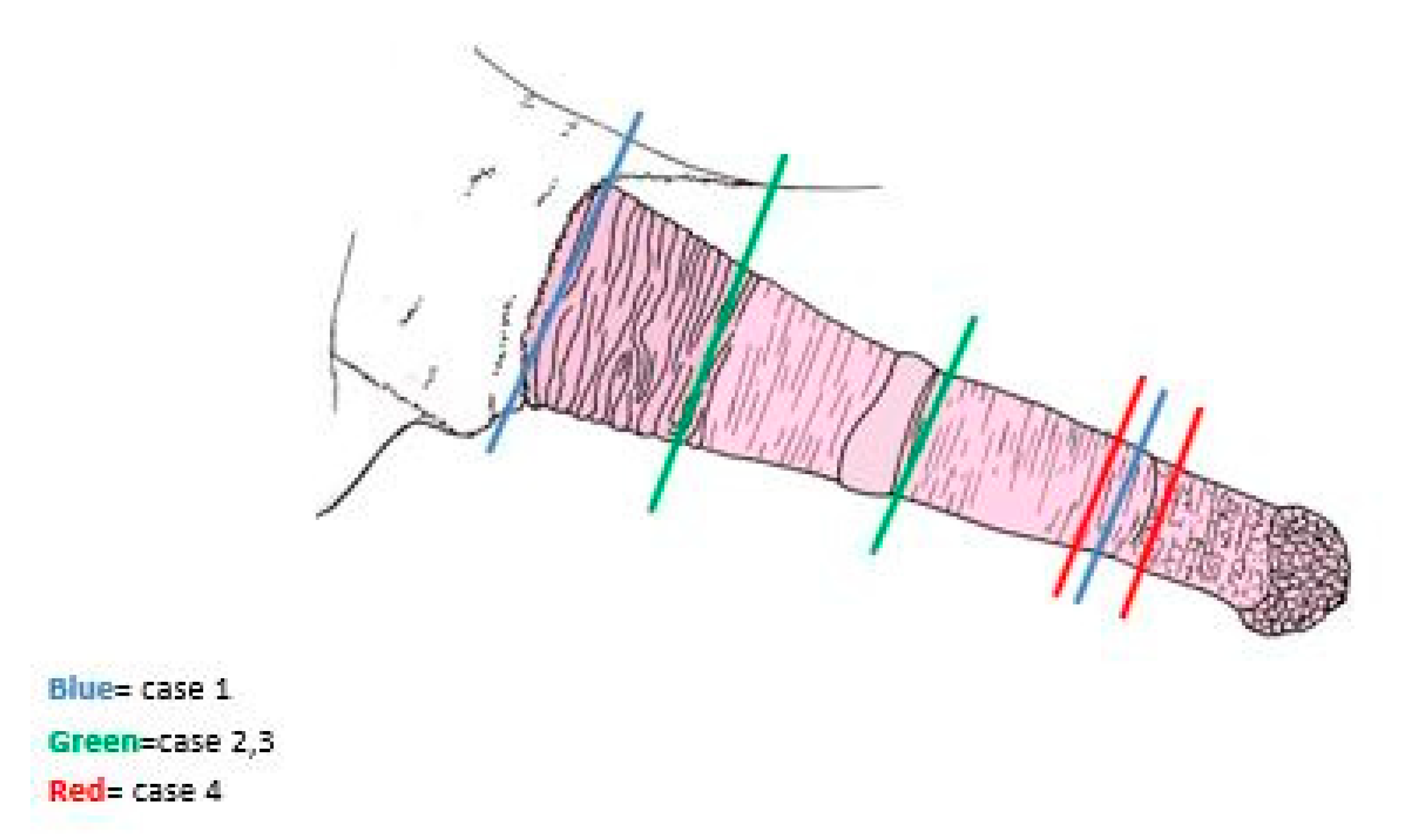 Animals 11 01145 g013 Animals 11 01145 g013