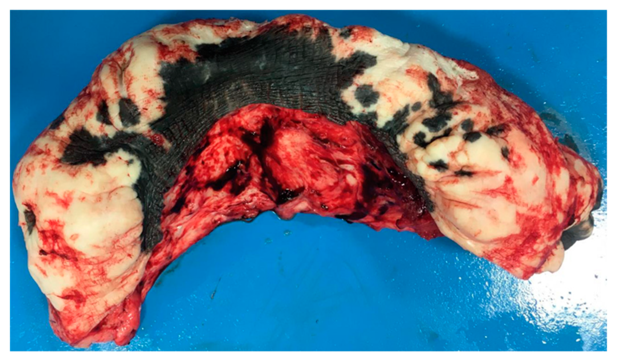 Animals 11 01145 g015 Animals 11 01145 g015