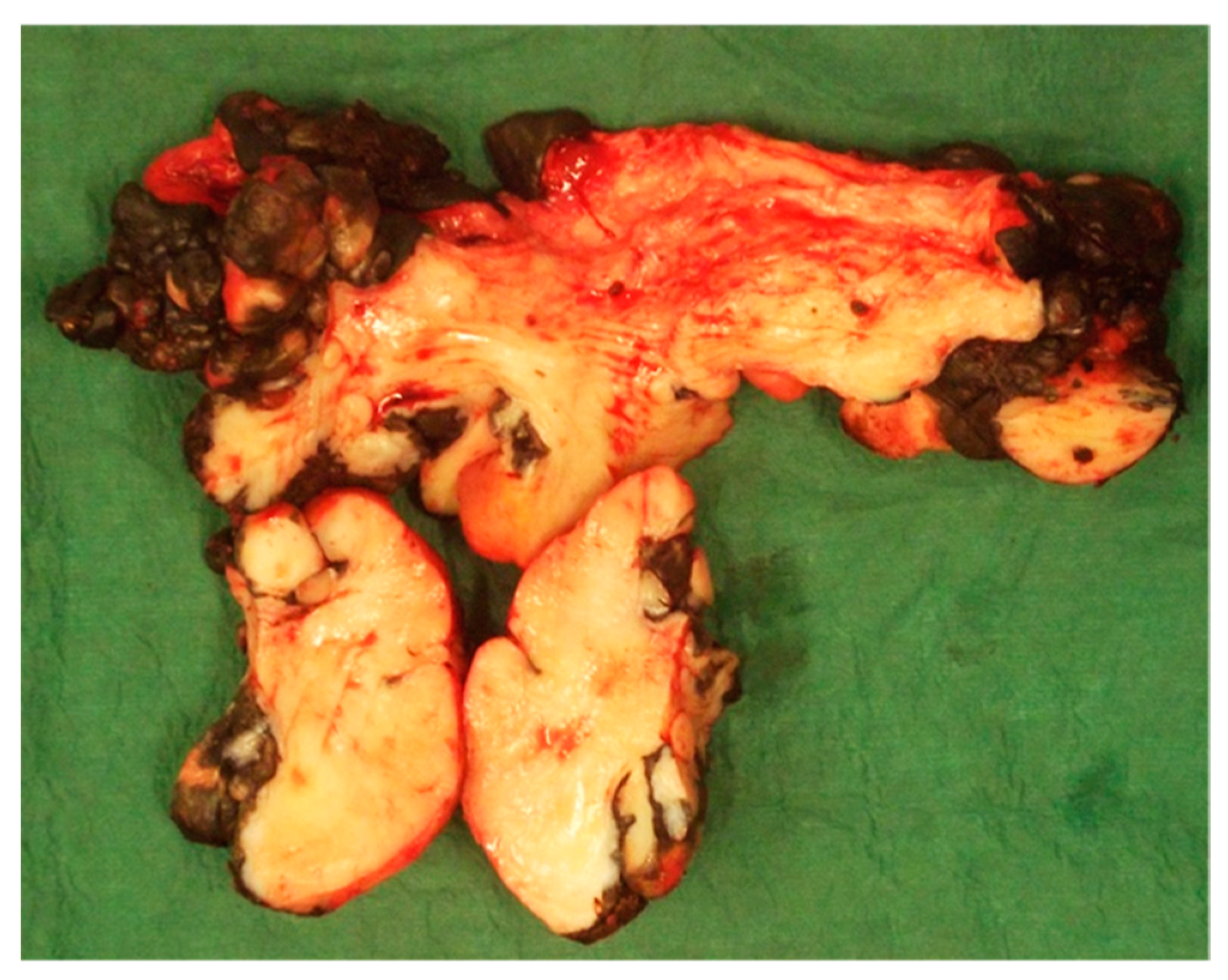 Animals 11 01145 g016 Animals 11 01145 g016