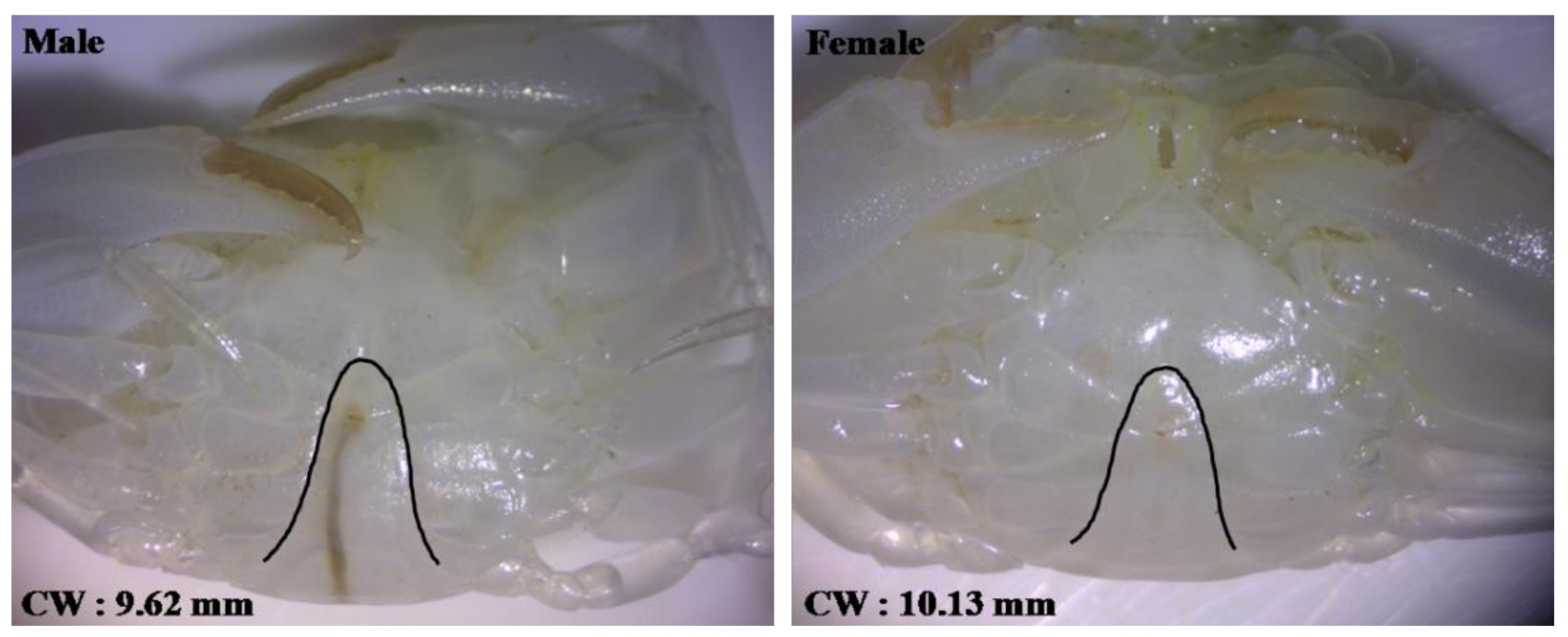 Animals 11 01146 g001 Animals 11 01146 g001