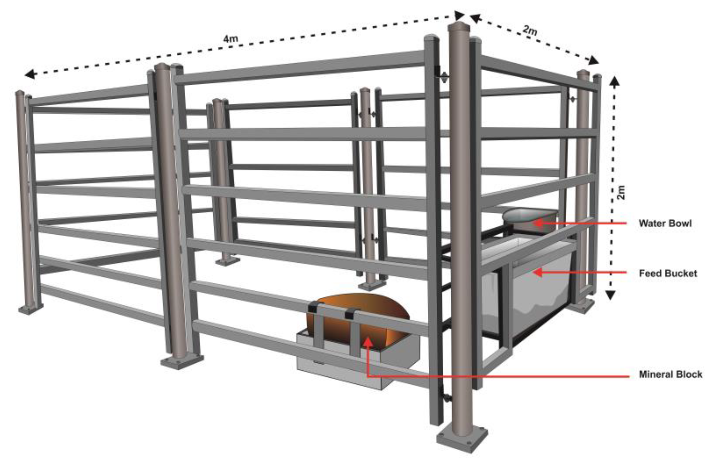 Animals 11 01153 g002
