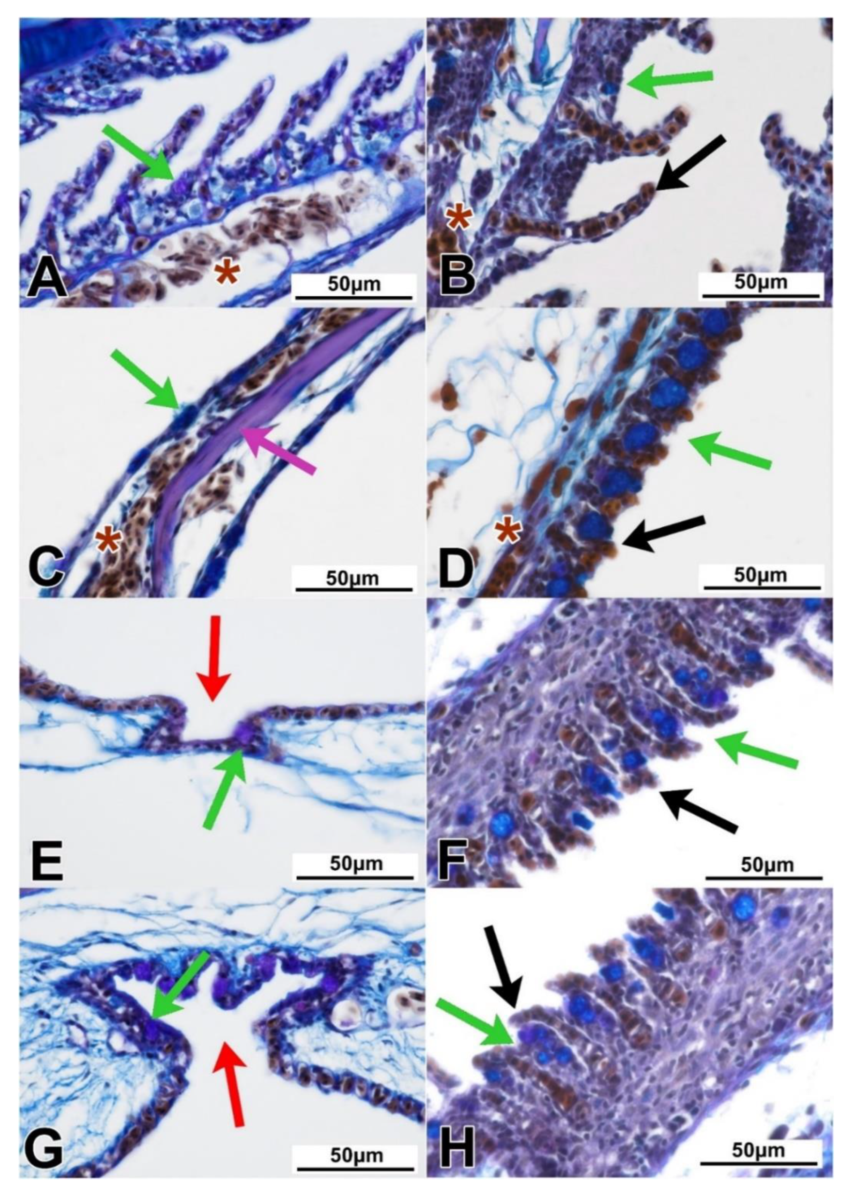 Animals 11 01158 g002 Animals 11 01158 g002