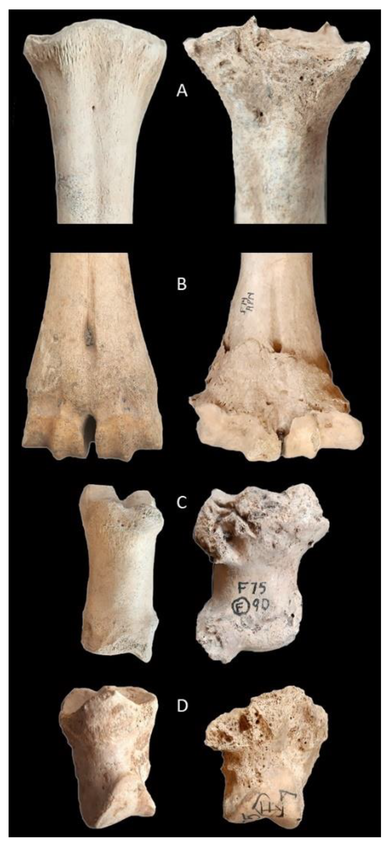 Animals 11 01174 g002 Animals 11 01174 g002