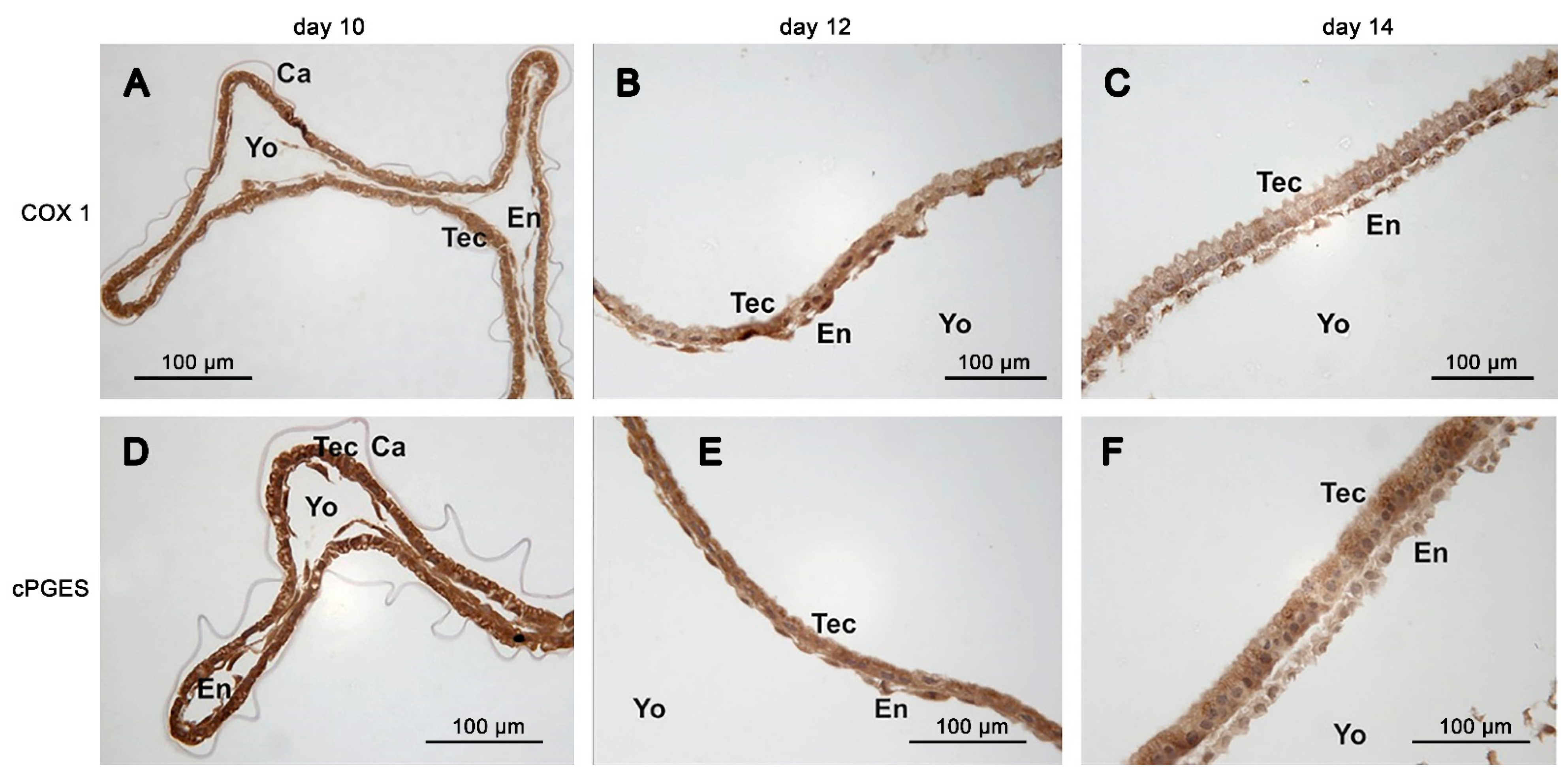 Animals 11 01180 g004