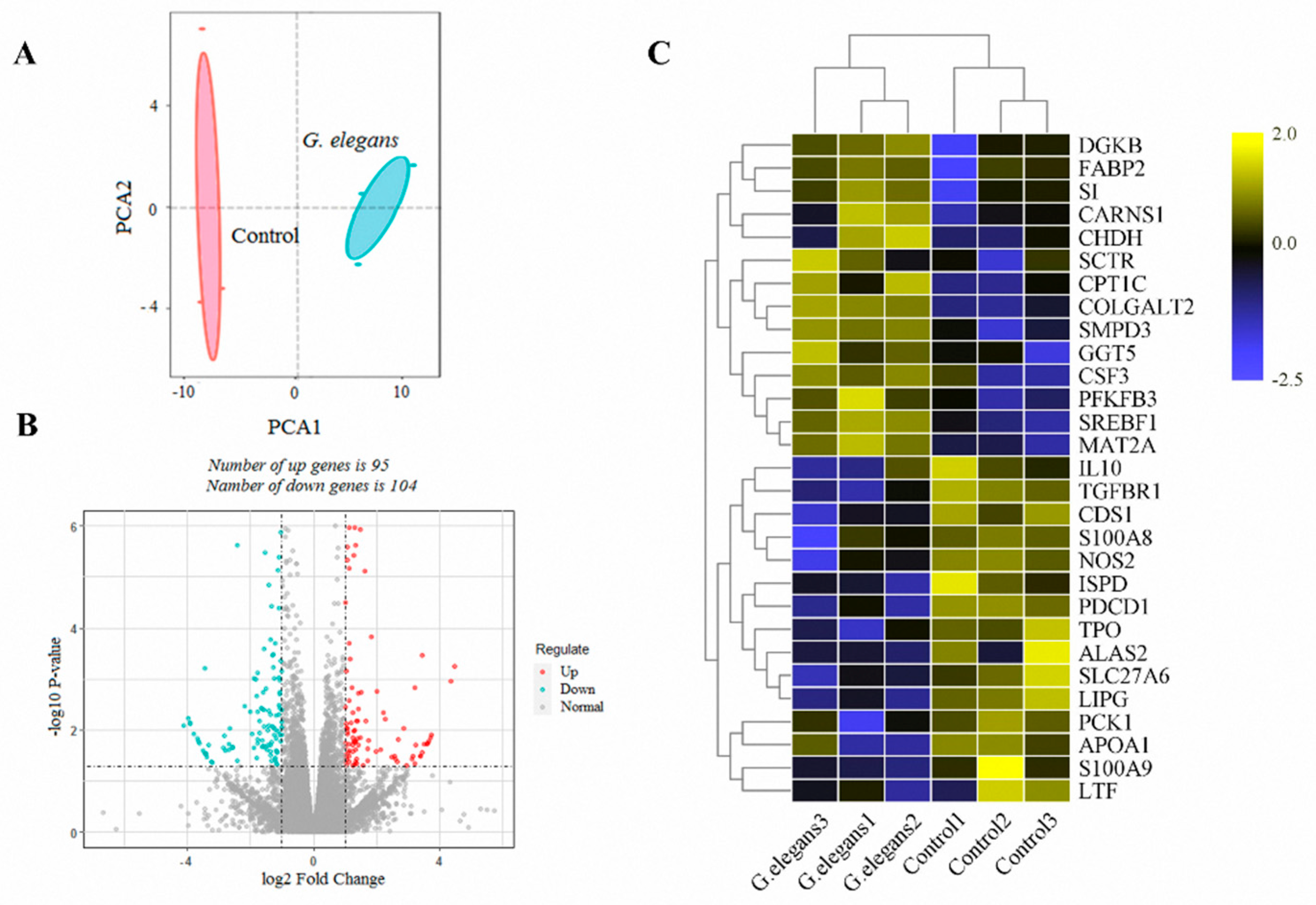 Animals 11 01192 g001