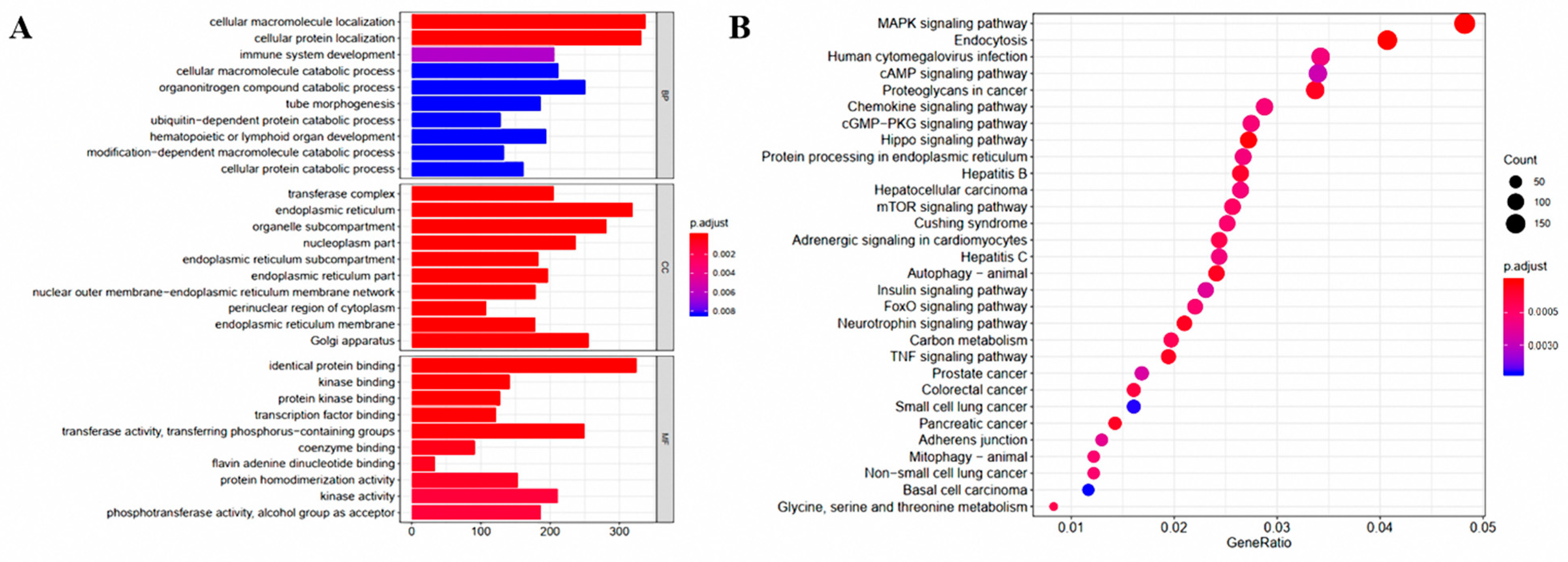Animals 11 01192 g002
