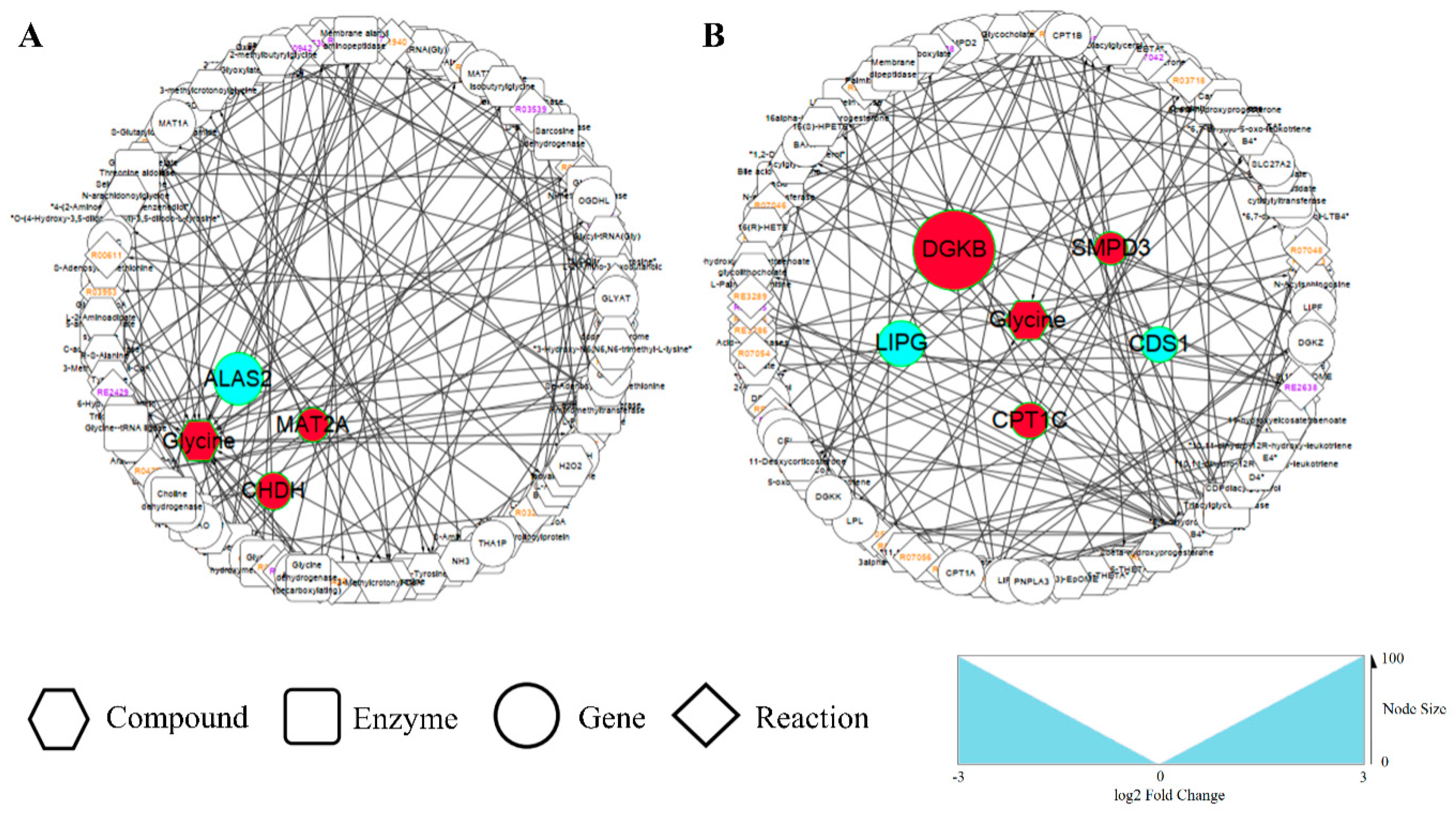 Animals 11 01192 g004