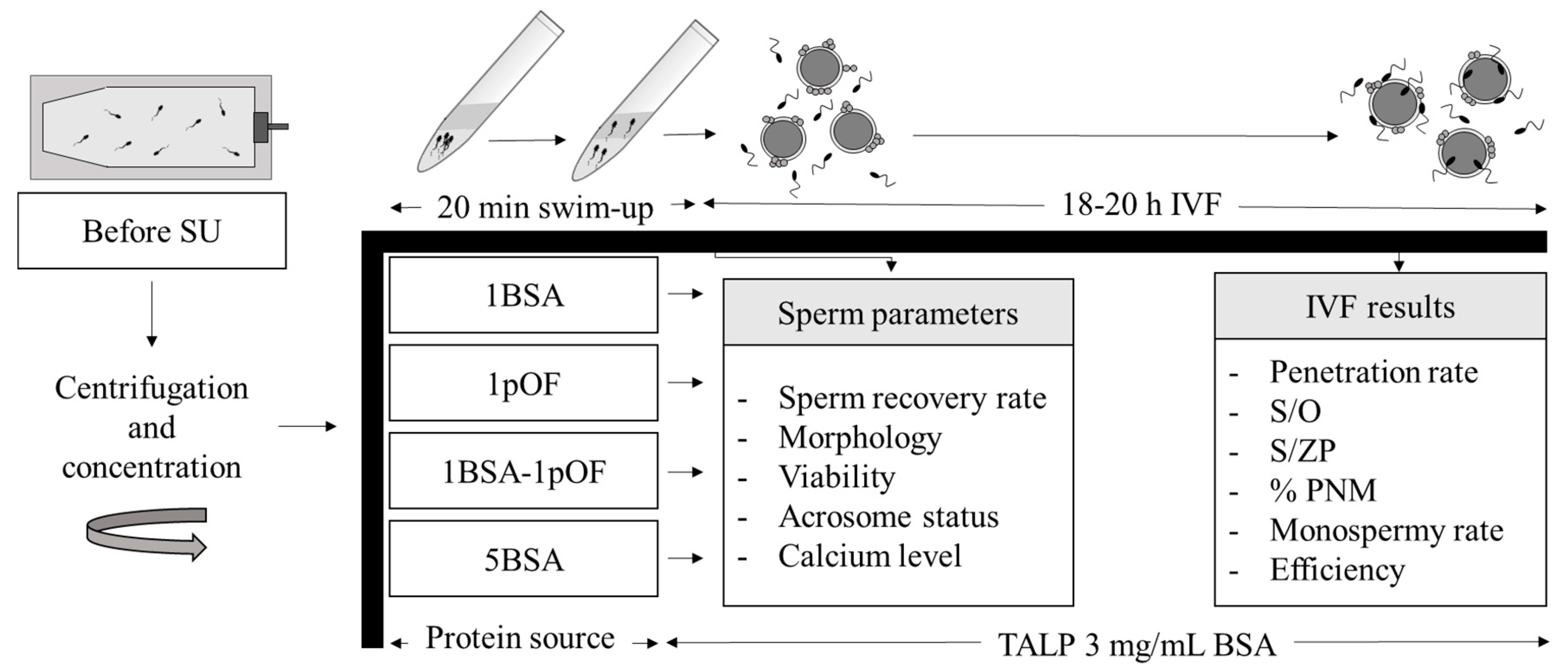 Animals 11 01202 g001 Animals 11 01202 g001