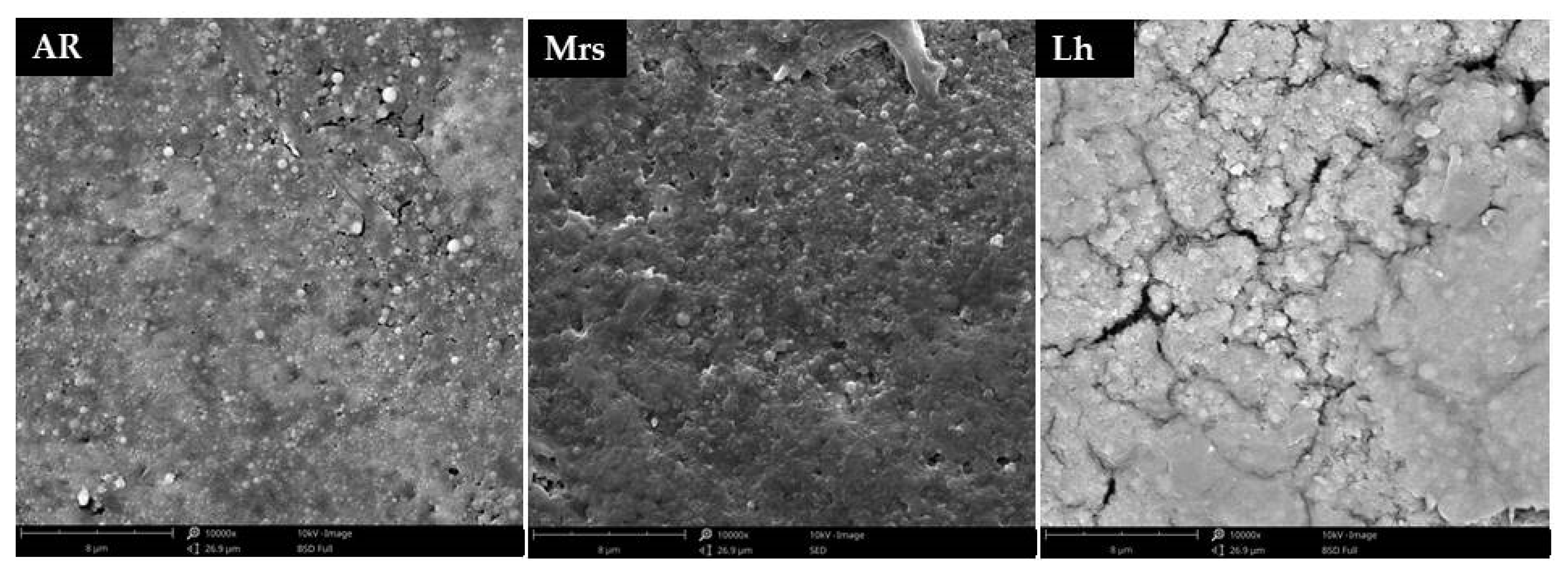 Animals 11 01204 g004 Animals 11 01204 g004