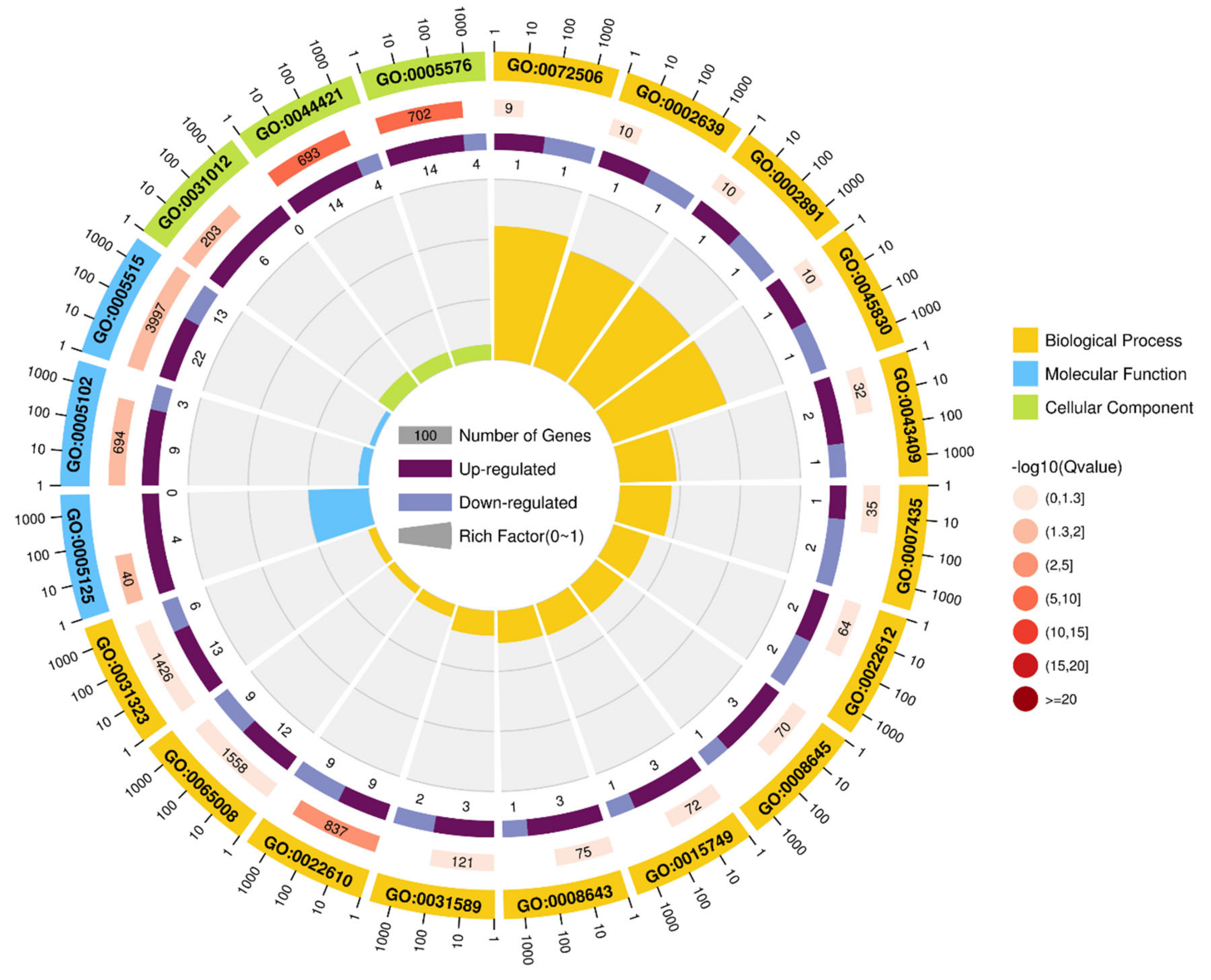 Animals 11 01207 g006 Animals 11 01207 g006