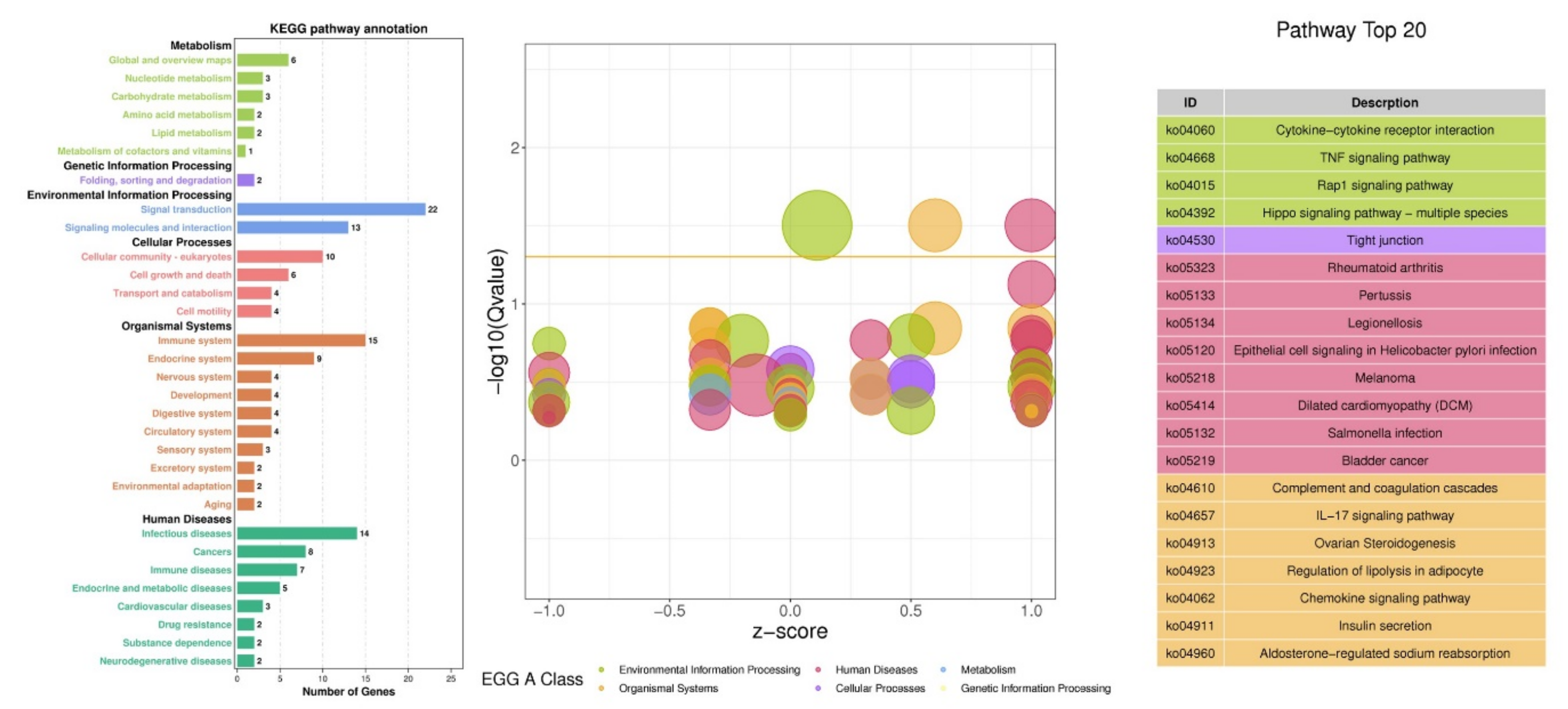 Animals 11 01207 g007 Animals 11 01207 g007